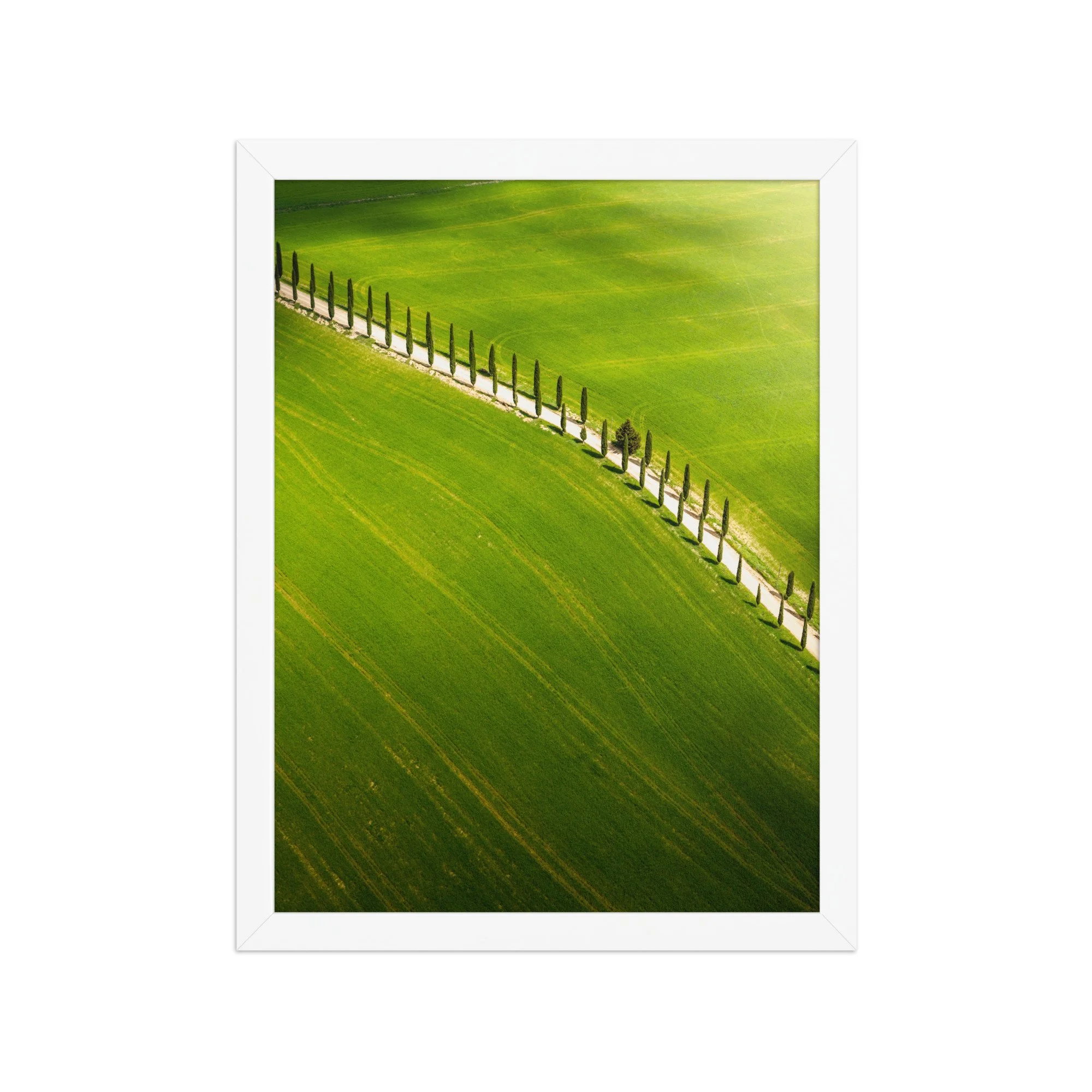 premium-luster-photo-paper-framed-poster-(in)-white-12x16-front-6a6a4332f37b7.jpg