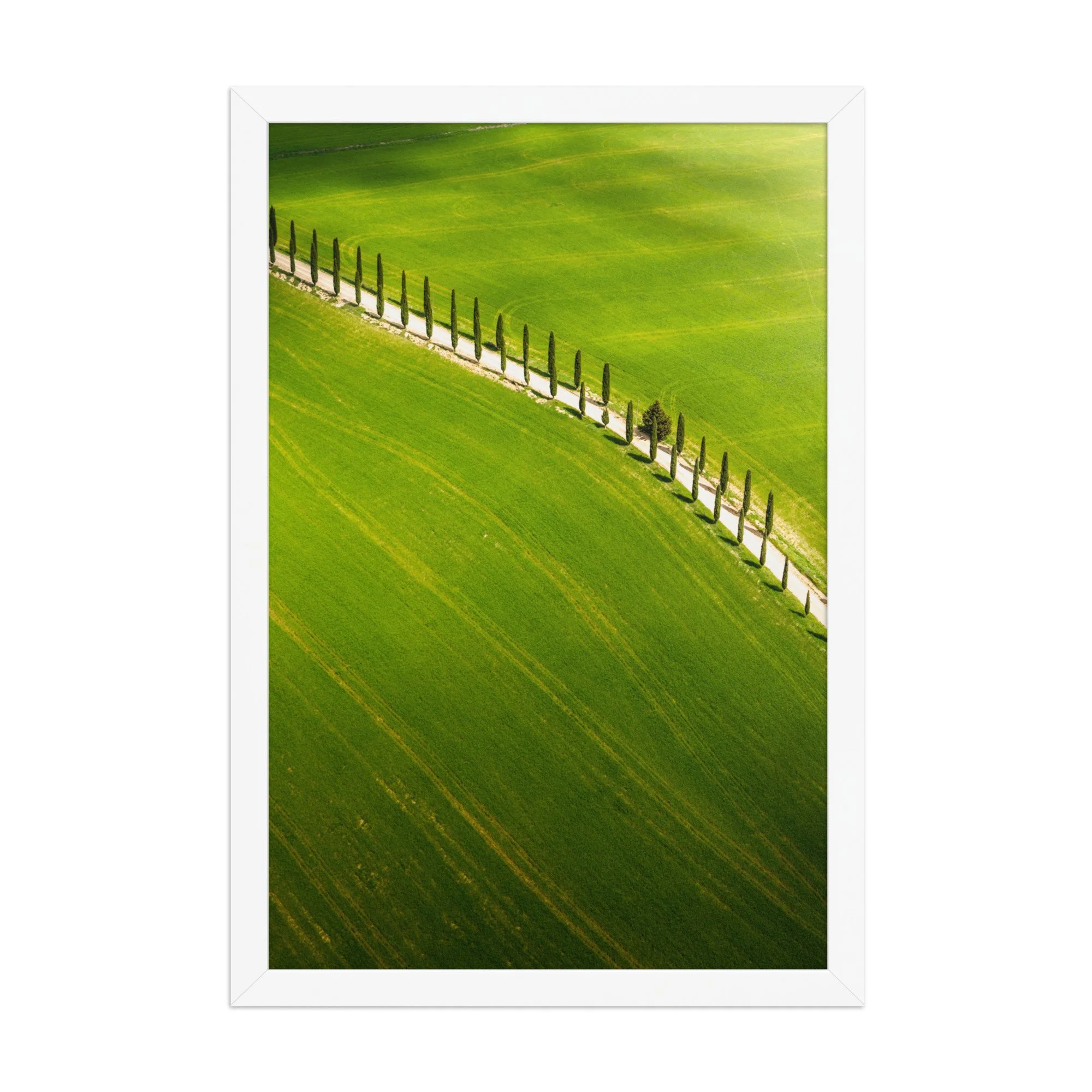 premium-luster-photo-paper-framed-poster-(in)-white-12x18-front-6a6a4332f37ff.jpg