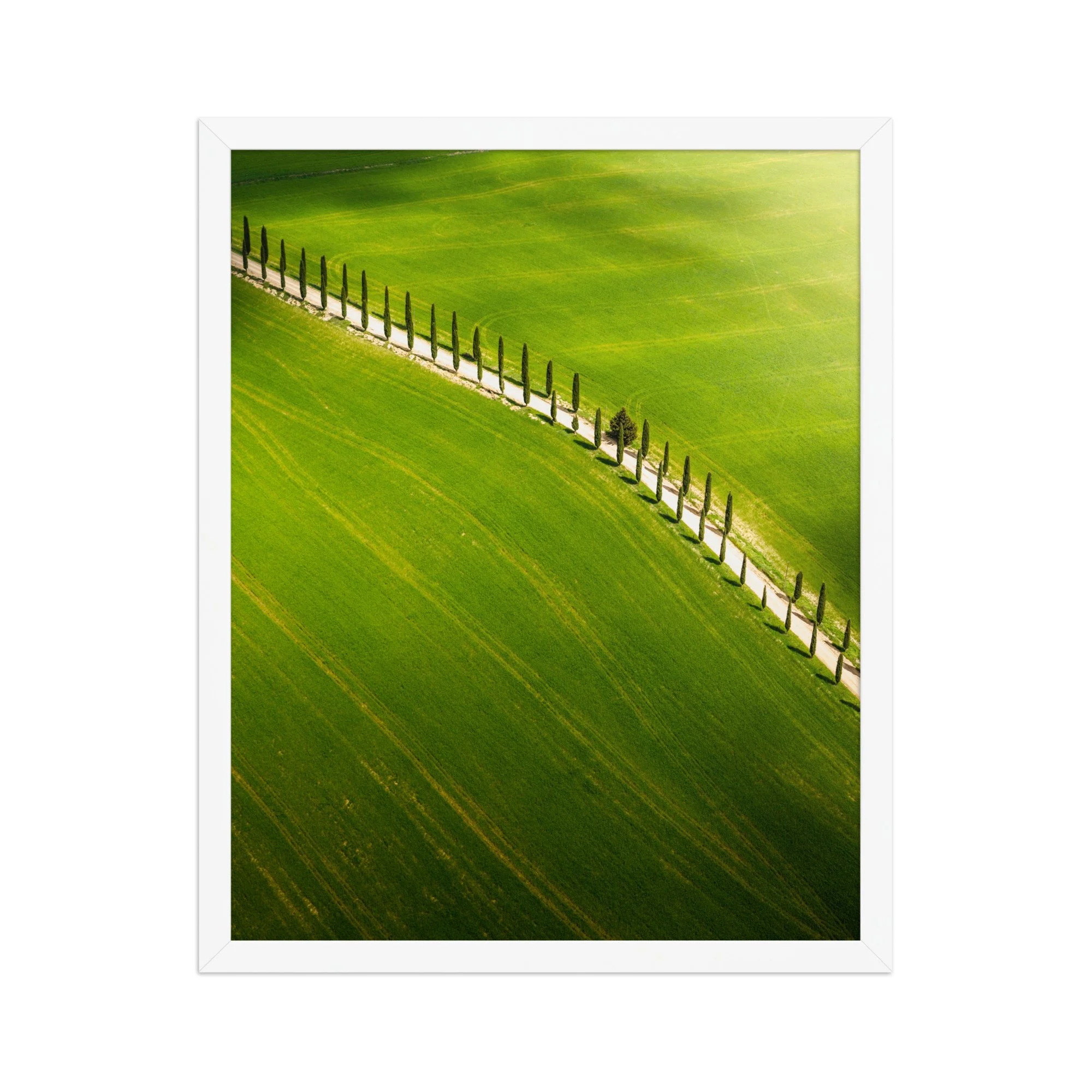 premium-luster-photo-paper-framed-poster-(in)-white-16x20-front-6a6a4332f3851.jpg