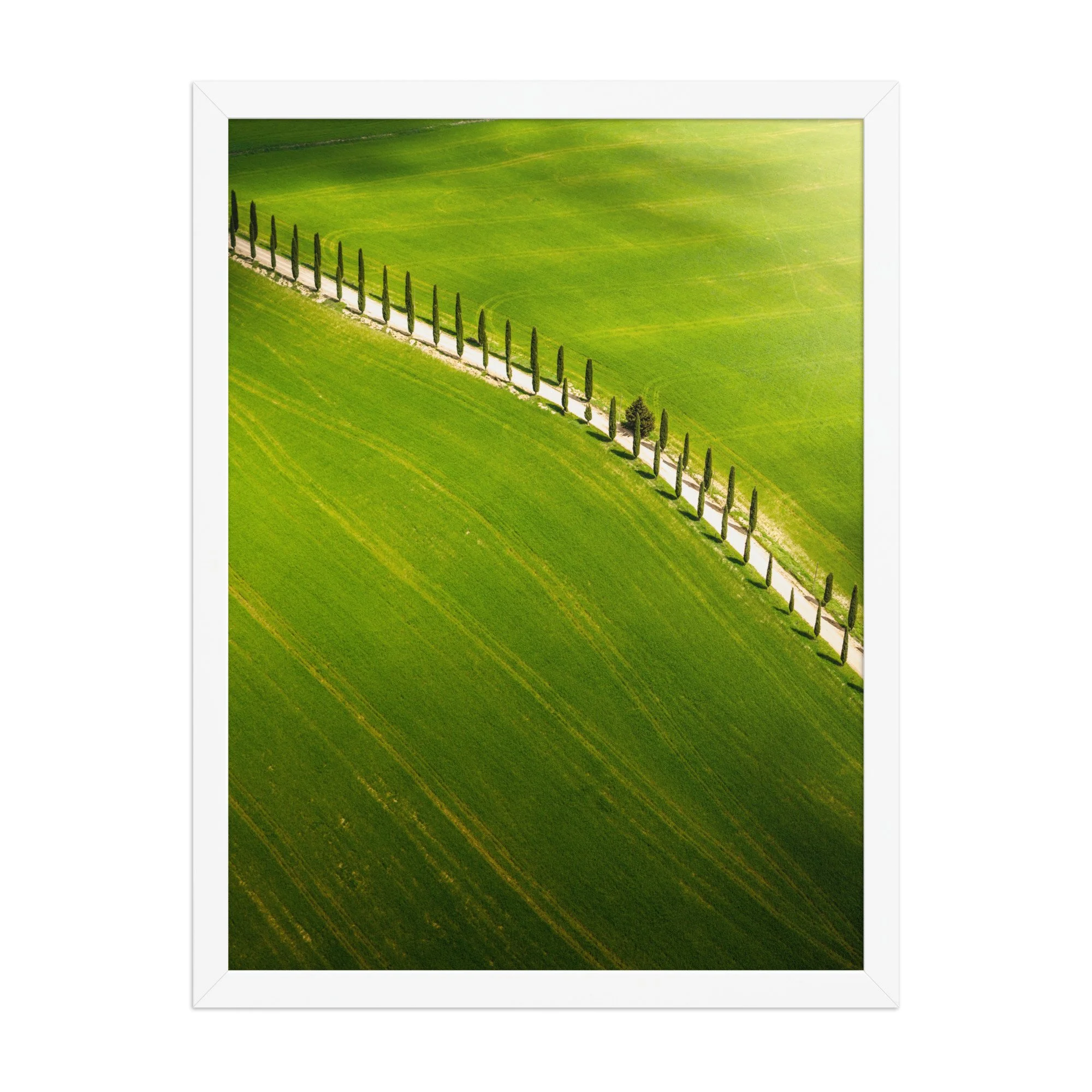 premium-luster-photo-paper-framed-poster-(in)-white-18x24-front-6a6a4332f38c4.jpg