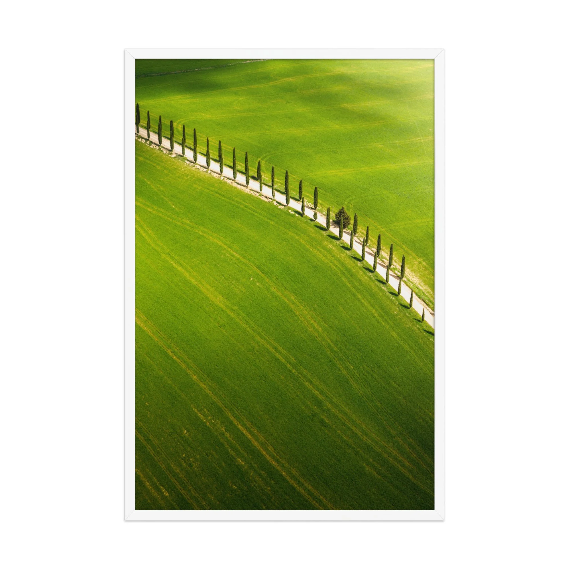 premium-luster-photo-paper-framed-poster-(in)-white-24x36-front-6a6a4332f390f.jpg