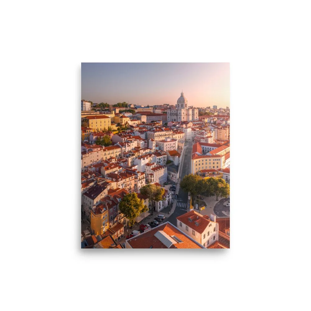 premium-luster-photo-paper-poster-(in)-8x10-front-6a905203ce394.jpg