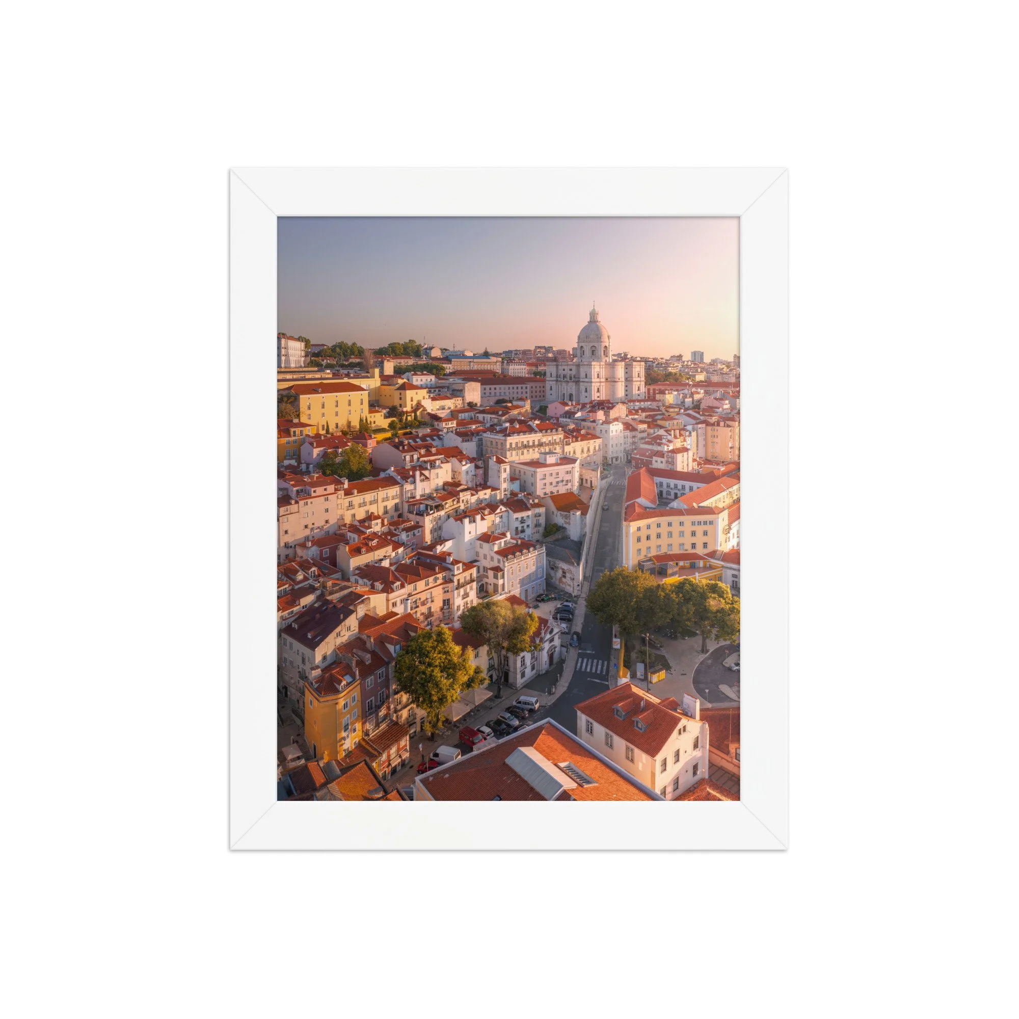 premium-luster-photo-paper-framed-poster-(in)-white-8x10-front-6a90c8eba349f.jpg