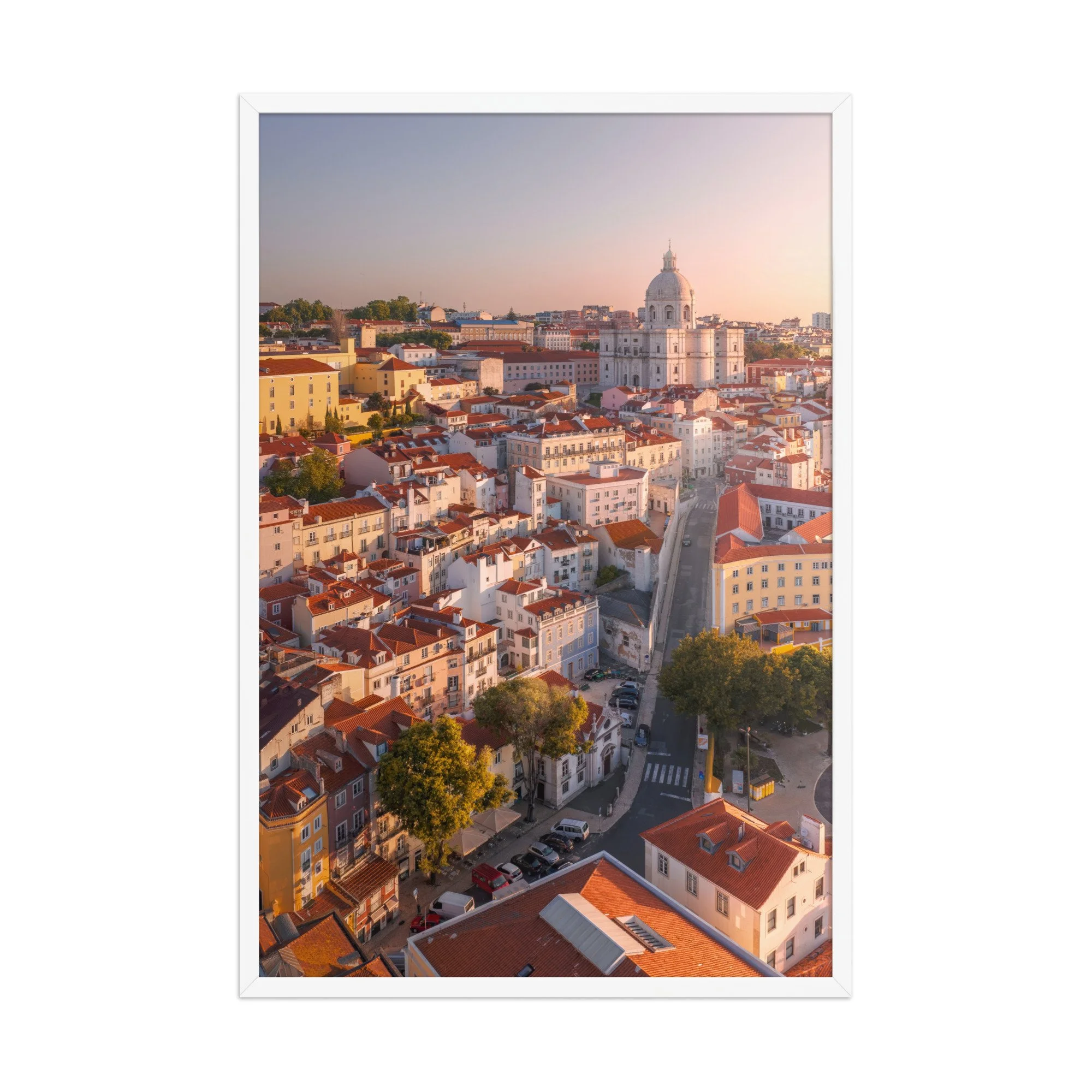 premium-luster-photo-paper-framed-poster-(in)-white-24x36-front-6a90c8eba35d3.jpg