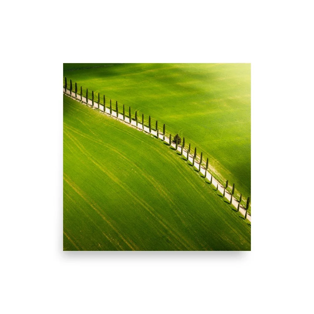 premium-luster-photo-paper-poster-(in)-18x18-front-6a99b81e973ab.jpg