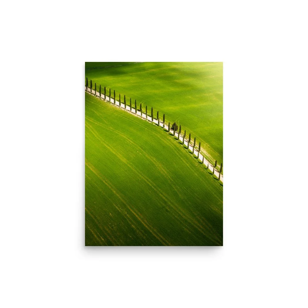 premium-luster-photo-paper-poster-(in)-12x16-front-6a99b81e97dab.jpg