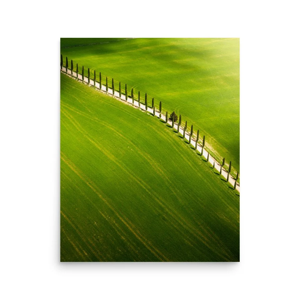 premium-luster-photo-paper-poster-(in)-16x20-front-6a99b81e97e06.jpg