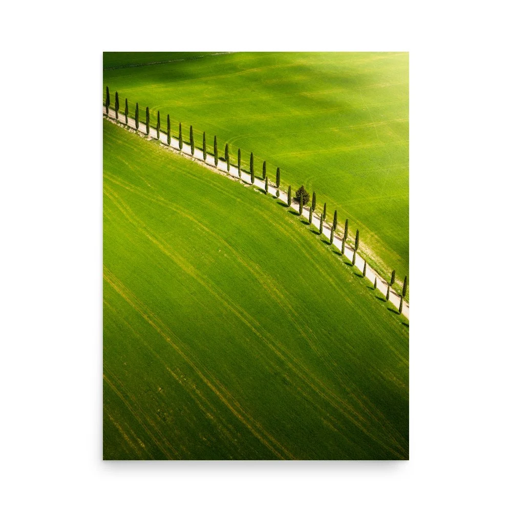 premium-luster-photo-paper-poster-(in)-18x24-front-6a99b81e97e68.jpg