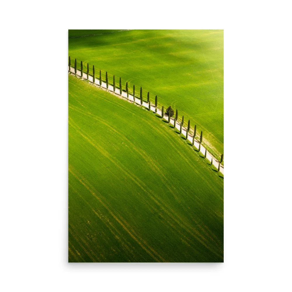 premium-luster-photo-paper-poster-(in)-24x36-front-6a99b81e97ebd.jpg