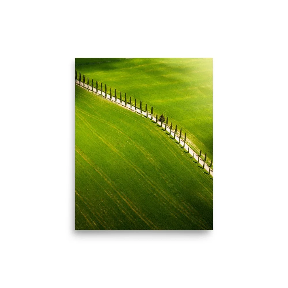 premium-luster-photo-paper-poster-(in)-8x10-front-6a99b81e97f02.jpg