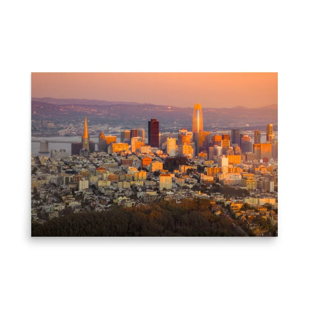 premium-luster-photo-paper-poster-(in)-24x36-front-6a99db015f268.jpg