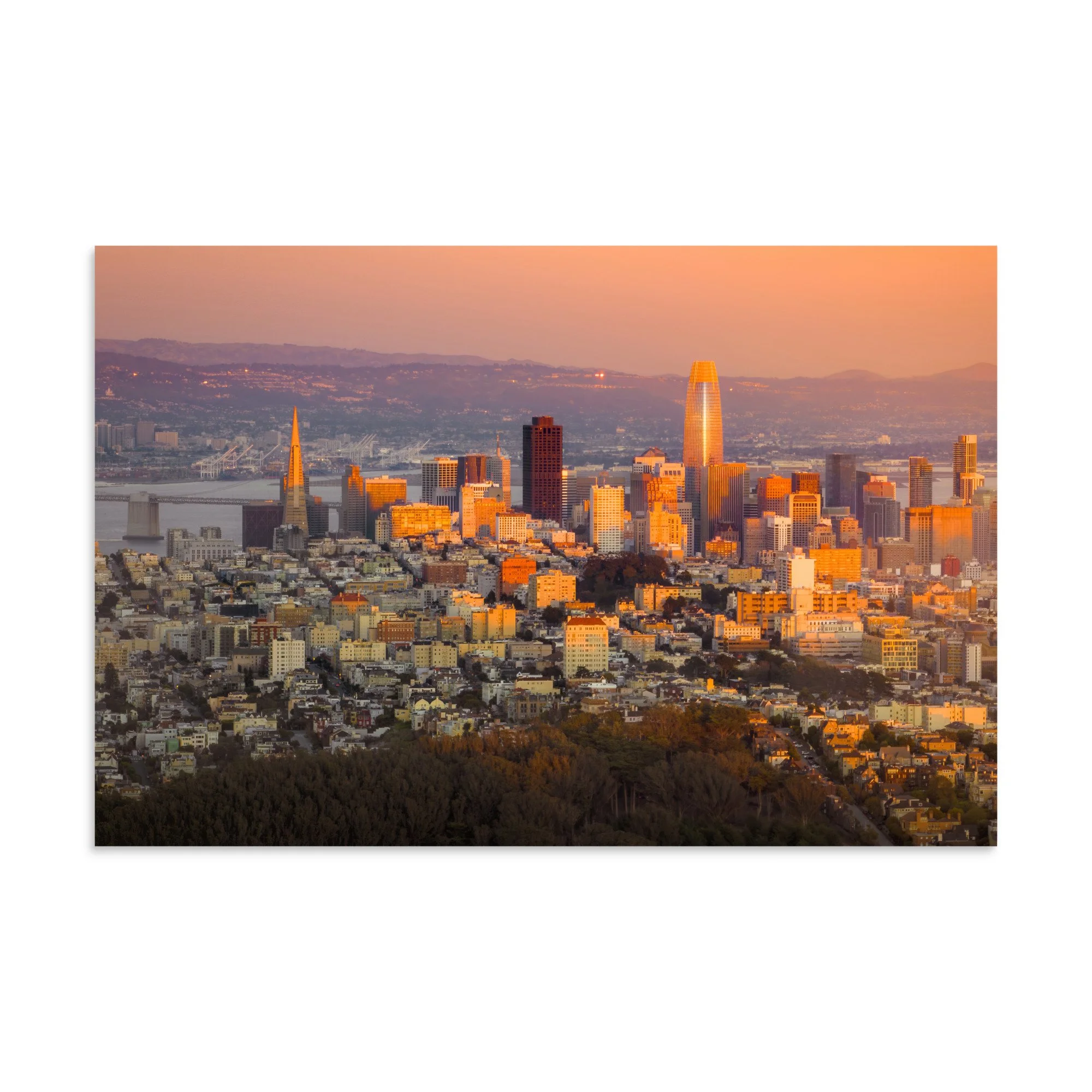 premium-luster-photo-paper-poster-(in)-8x12-front-6a99db015f2ad.jpg