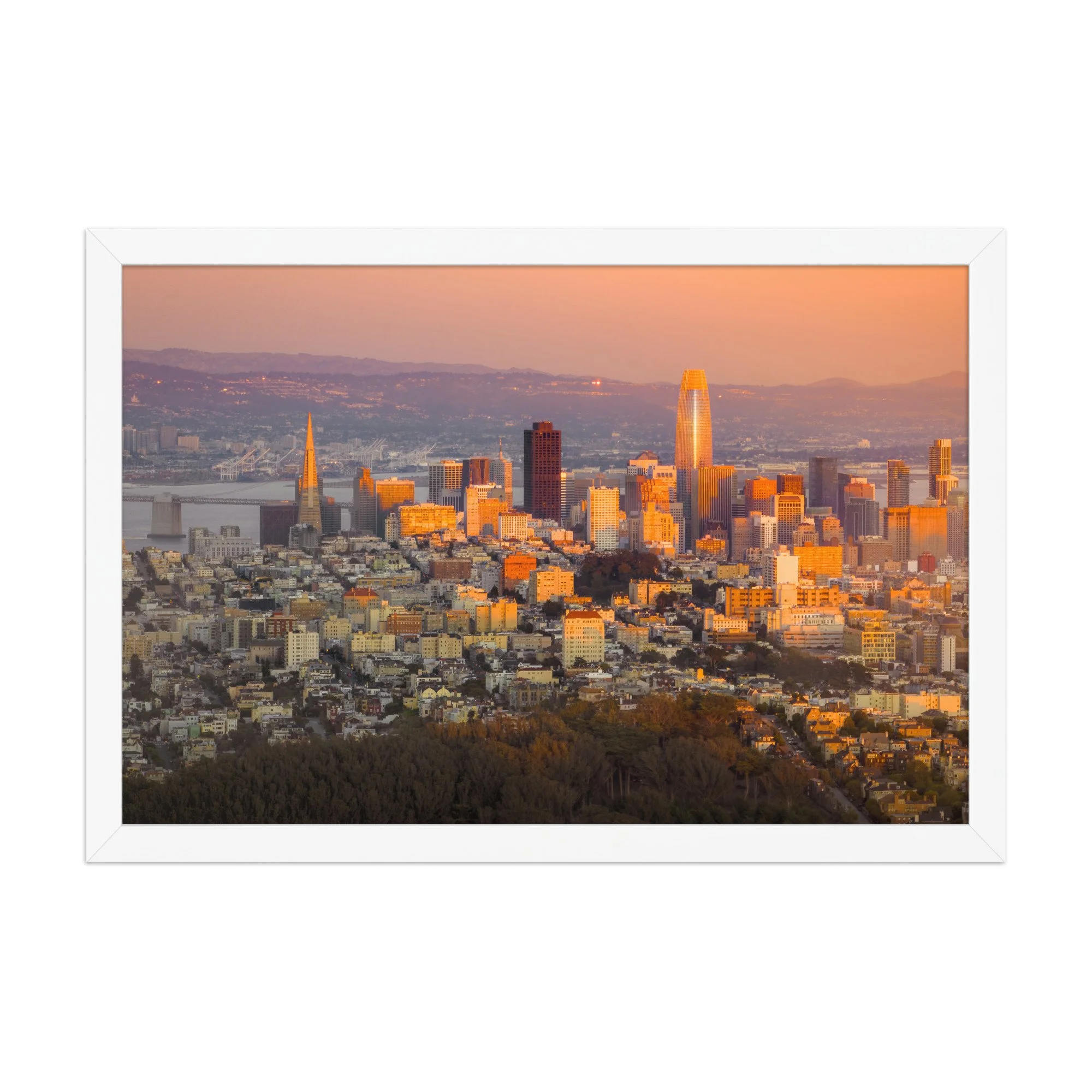 premium-luster-photo-paper-framed-poster-(in)-white-12x18-front-6a99e22dd8612.jpg