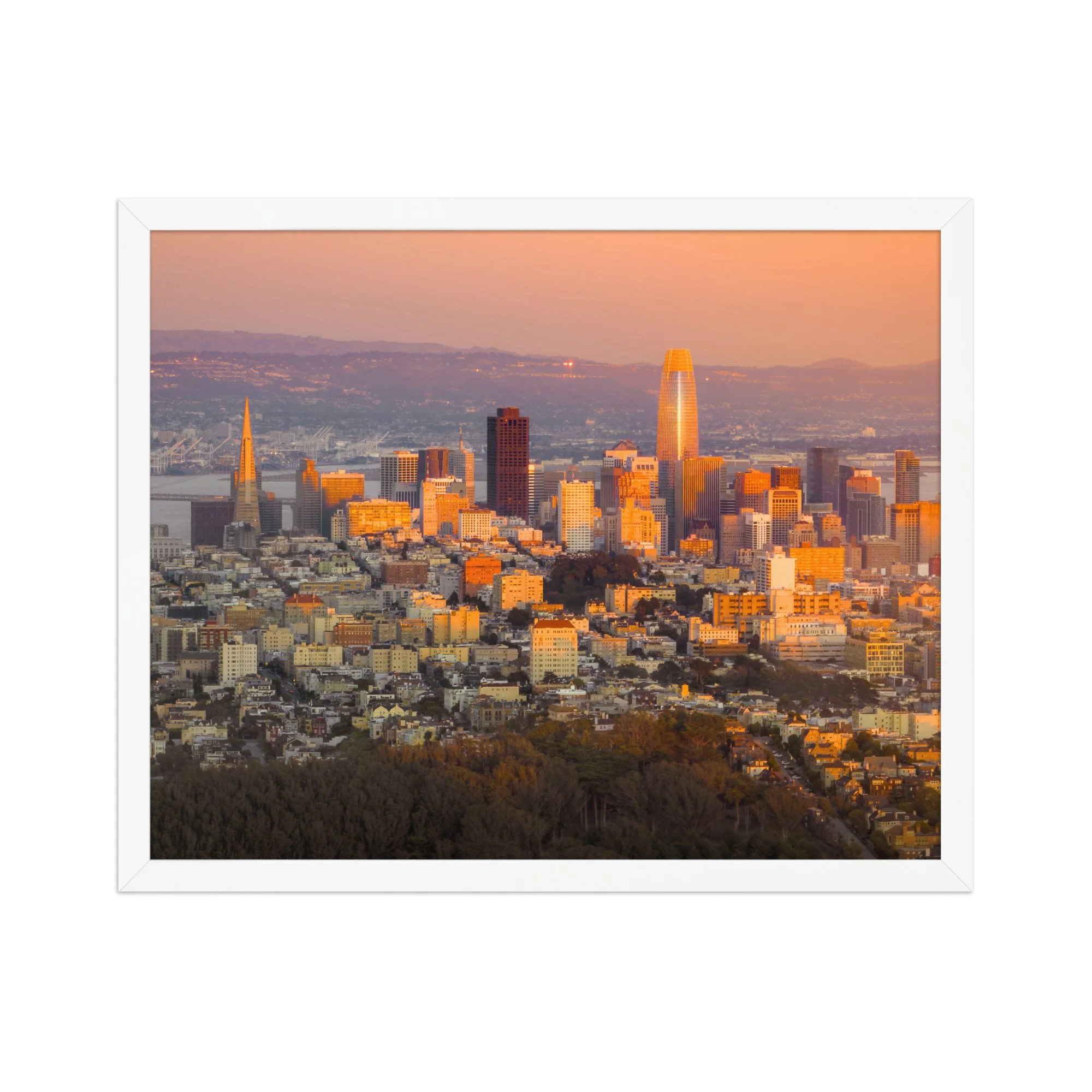 premium-luster-photo-paper-framed-poster-(in)-white-16x20-front-6a99e22dd8642.jpg