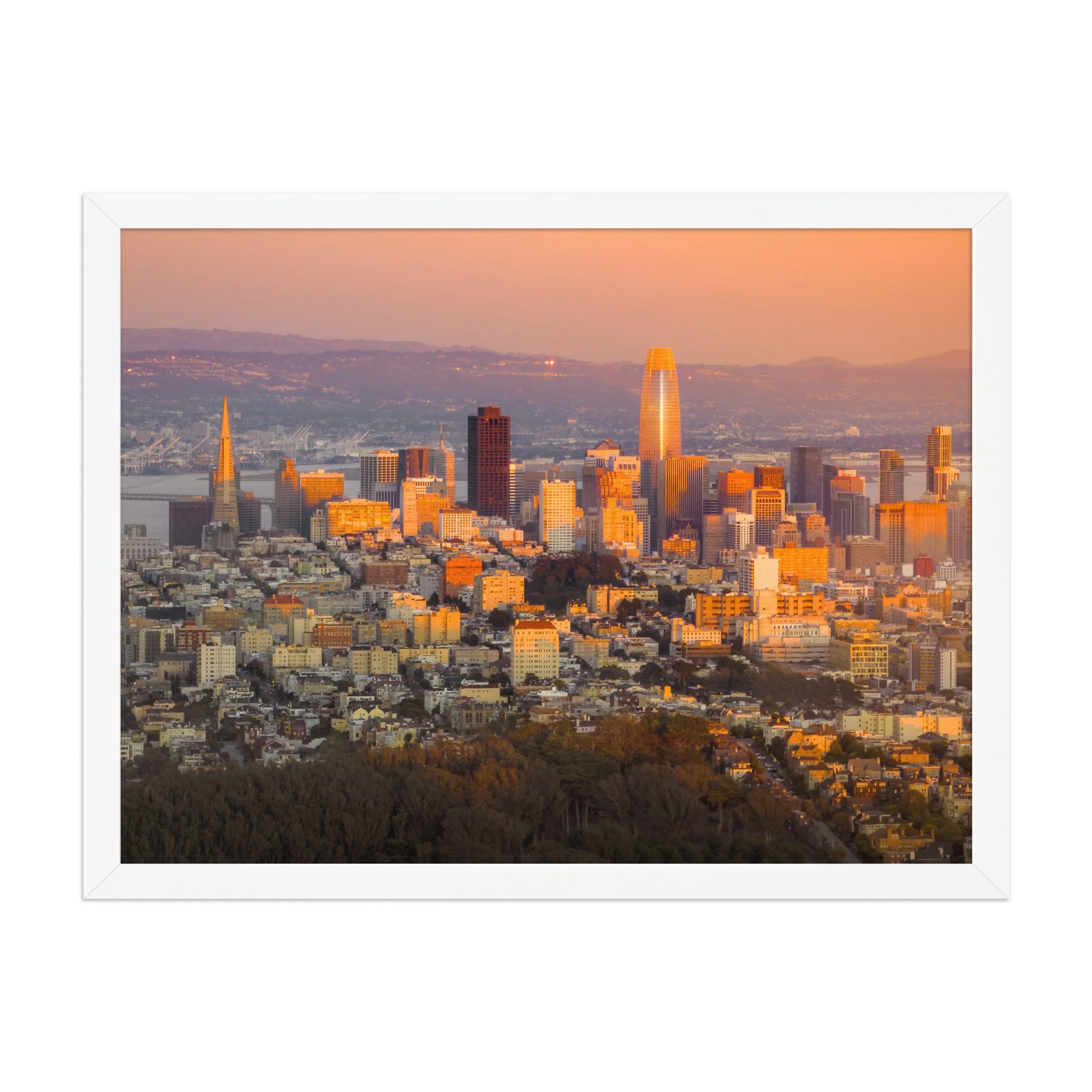 premium-luster-photo-paper-framed-poster-(in)-white-18x24-front-6a99e22dd866b.jpg