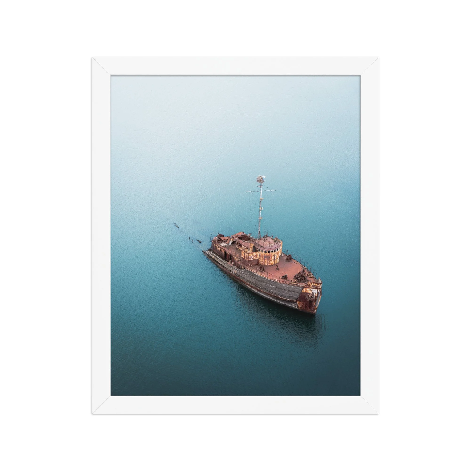 premium-luster-photo-paper-framed-poster-(in)-white-11x14-front-6a9ee5d2e87c2.jpg