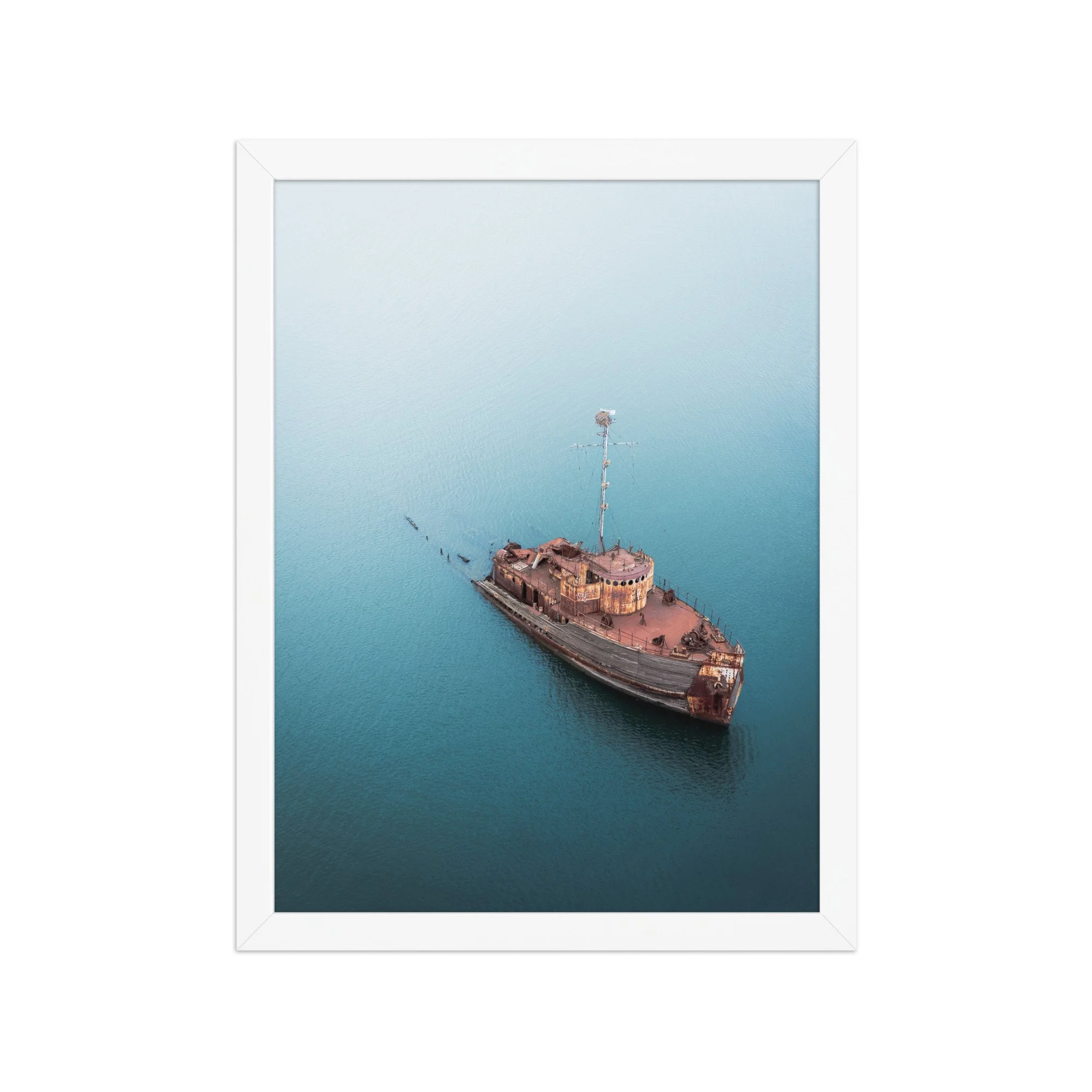 premium-luster-photo-paper-framed-poster-(in)-white-12x16-front-6a9ee5d2e8803.jpg