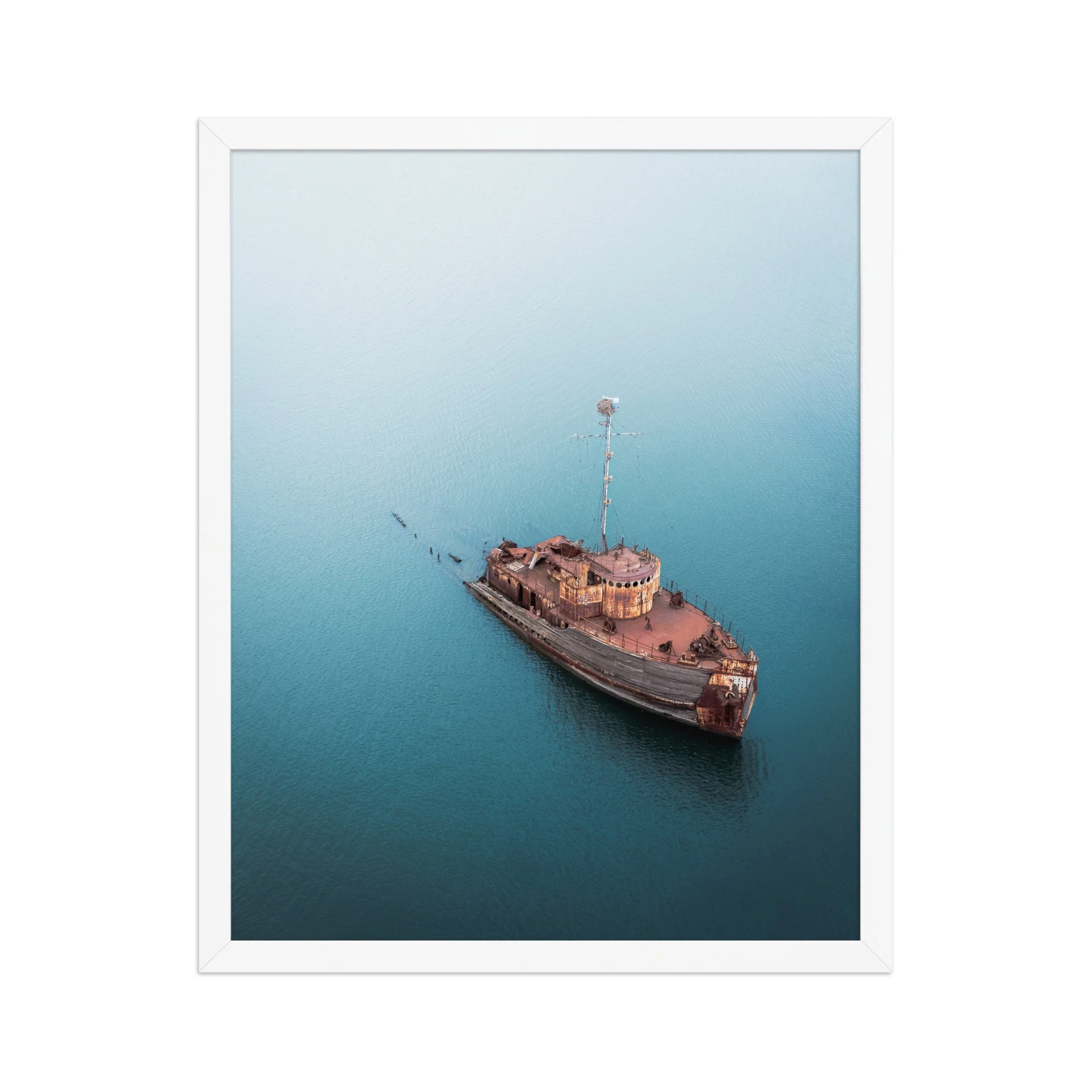 premium-luster-photo-paper-framed-poster-(in)-white-16x20-front-6a9ee5d2e8842.jpg