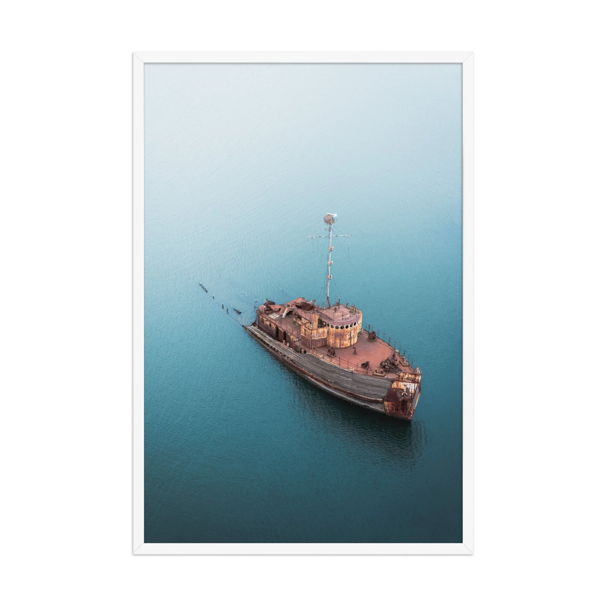 premium-luster-photo-paper-framed-poster-(in)-white-24x36-front-6a9ee5d2e88a1.jpg