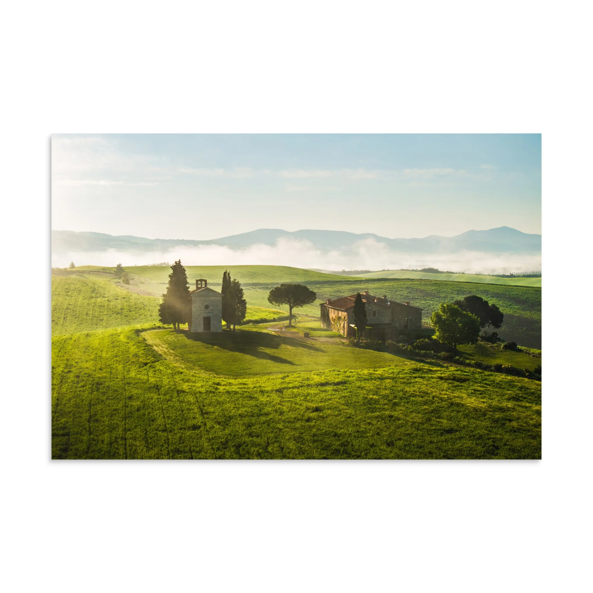 premium-luster-photo-paper-poster-(in)-8x12-front-6a9ee723e8e77.jpg