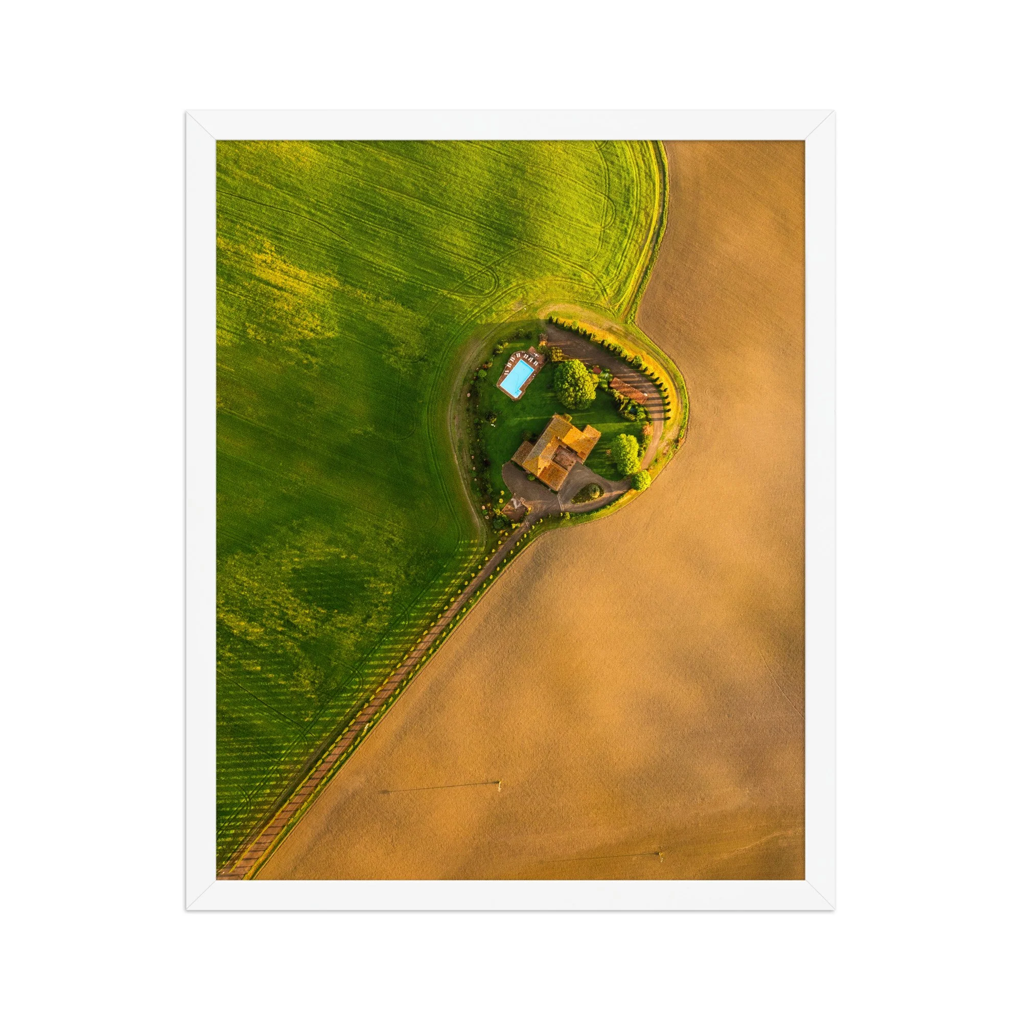 premium-luster-photo-paper-framed-poster-(in)-white-16x20-front-6aa5506dd1ad0.jpg
