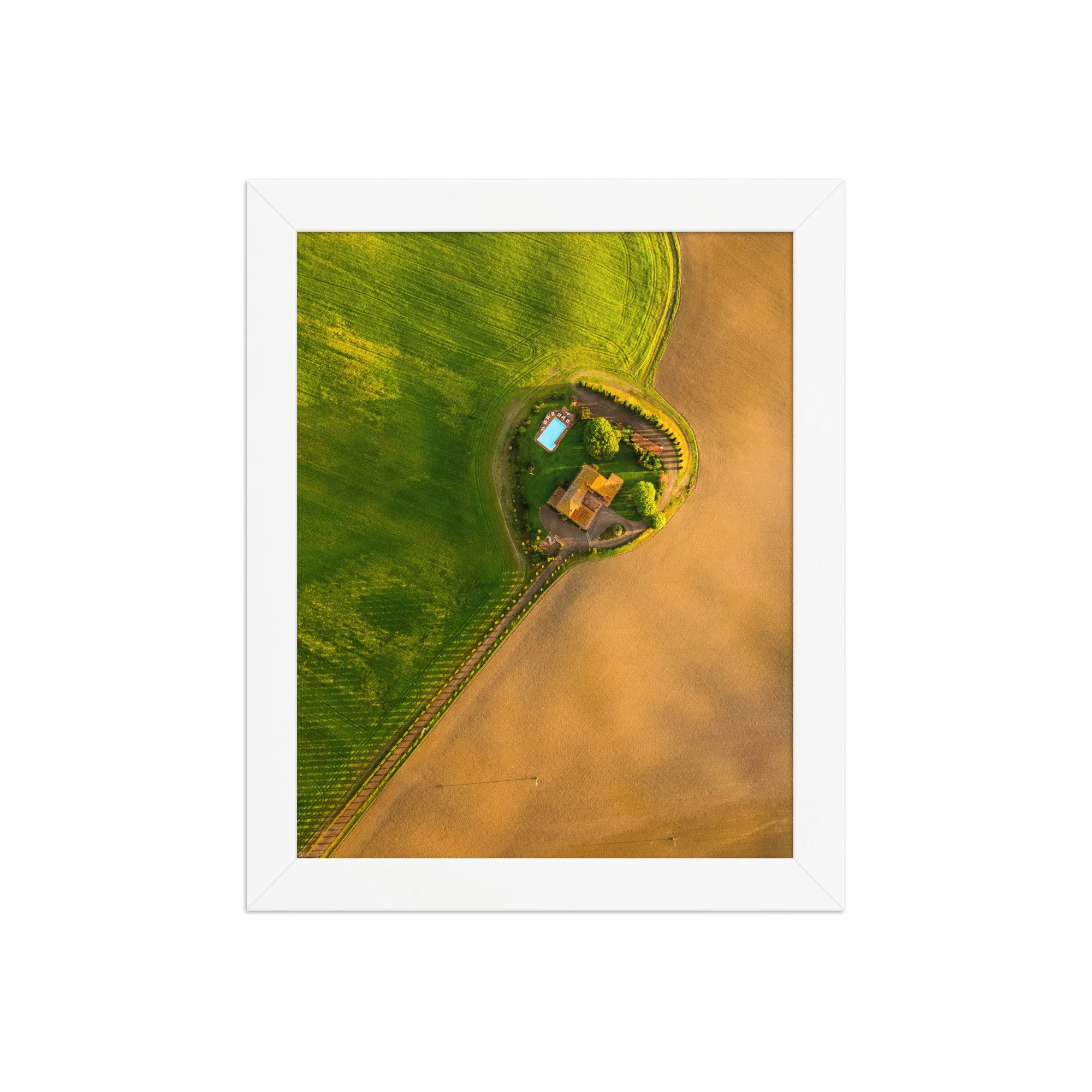 premium-luster-photo-paper-framed-poster-(in)-white-8x10-front-6aa5506dd268b.jpg