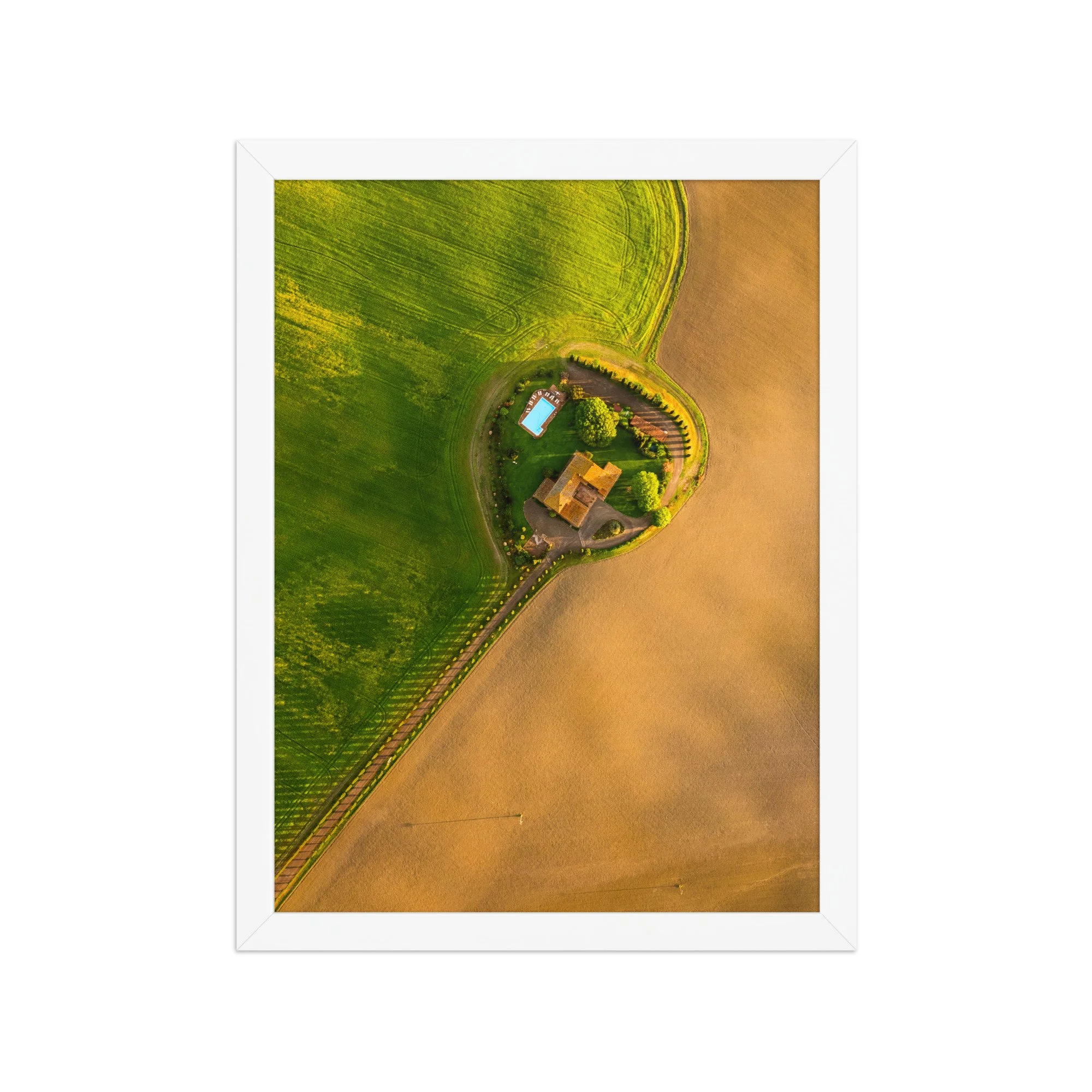 premium-luster-photo-paper-framed-poster-(in)-white-12x16-front-6aa5506dd2717.jpg