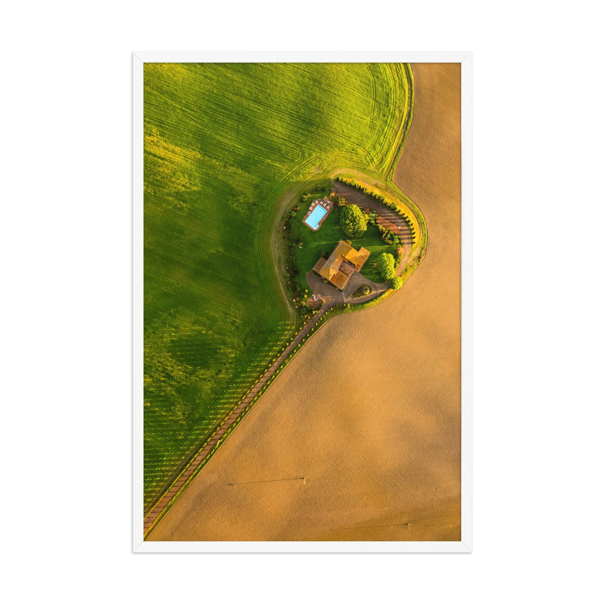 premium-luster-photo-paper-framed-poster-(in)-white-24x36-front-6aa5506dd27ae.jpg