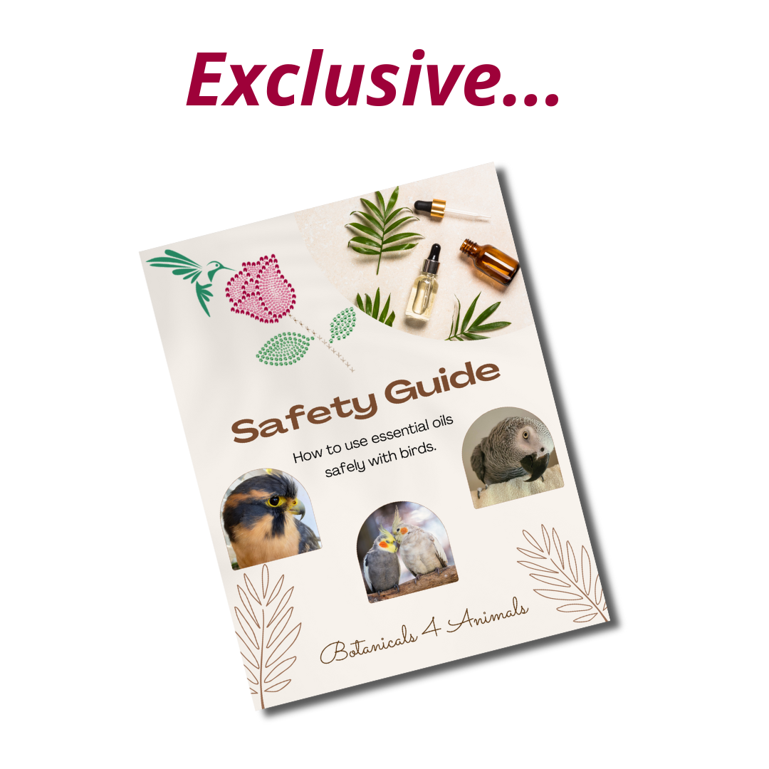 Free Safety Guide Email Image-2.png