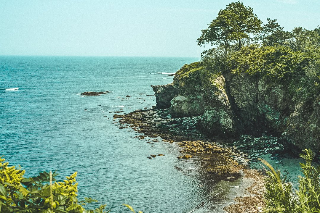 NEWPORT BREAKERS PHOTO.jpg