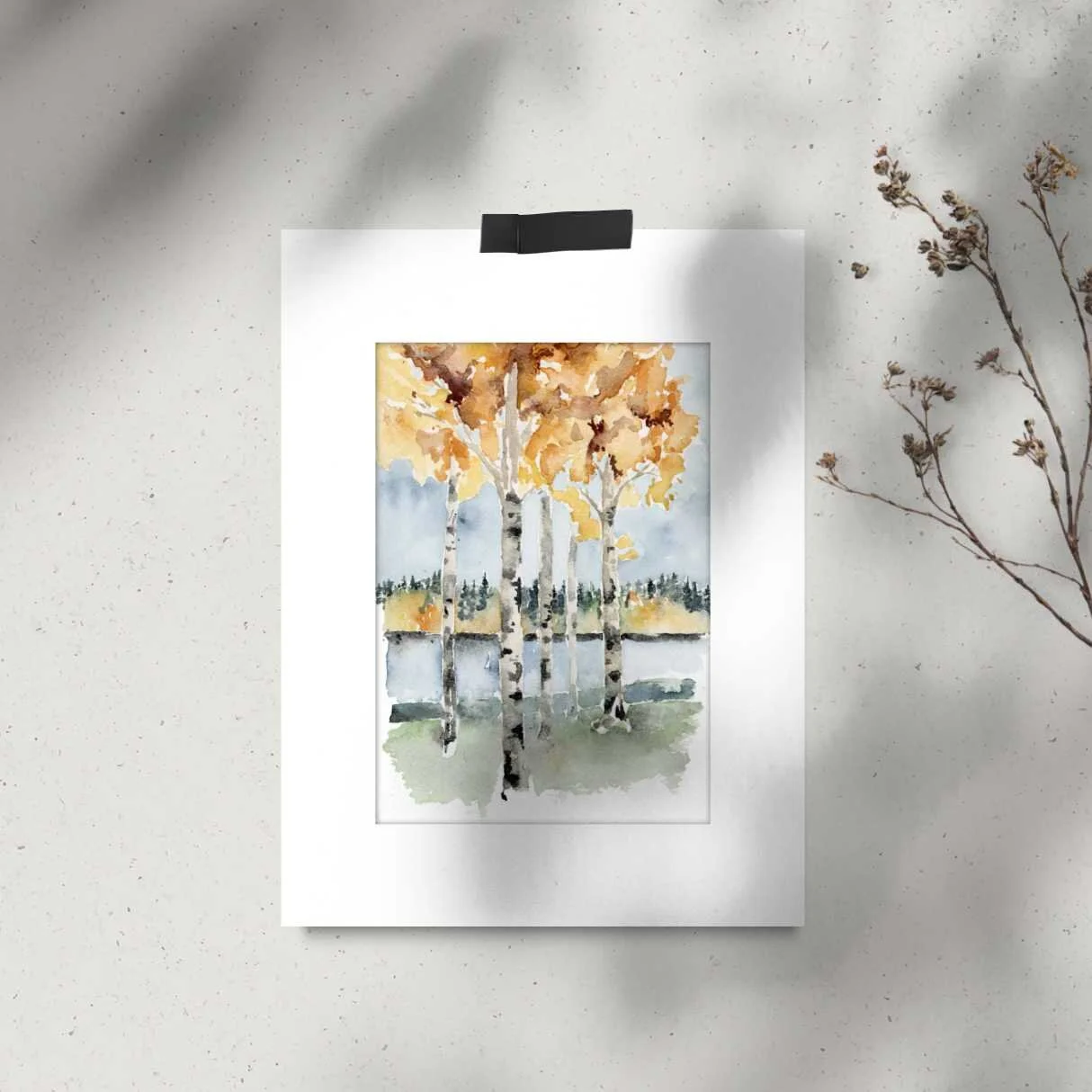 Autumn Birches - ii