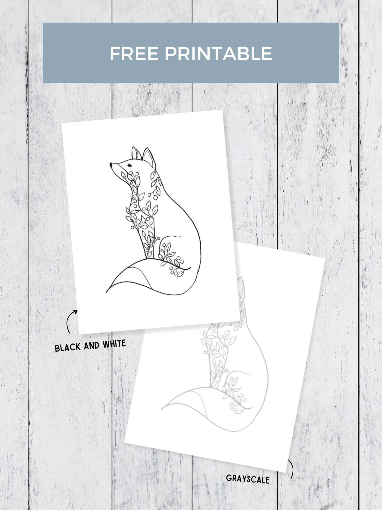 An image of two coloring pages of a winter fox.