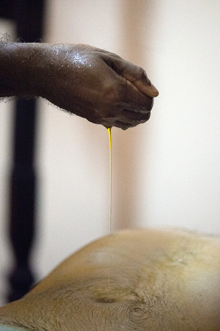 Massage āyurvédique ou terme inapproprié ? Décrypter un malentendu culturel