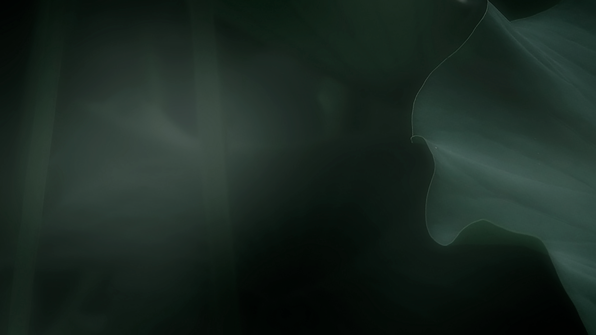 leave_video.png
