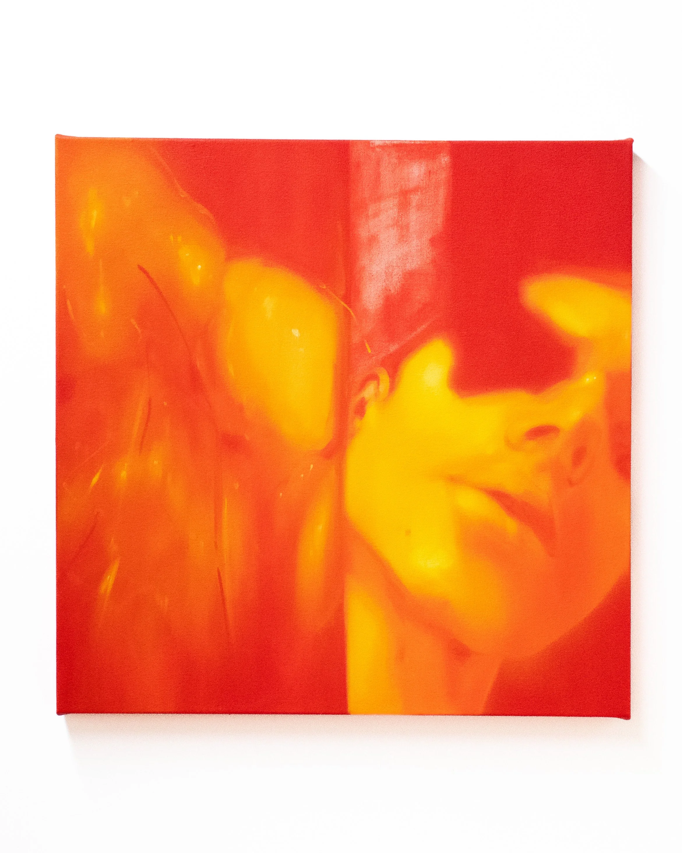  Cathexis, a Prayer for Fleas , 2026 
Oils on canvas, 24 x 24 inches