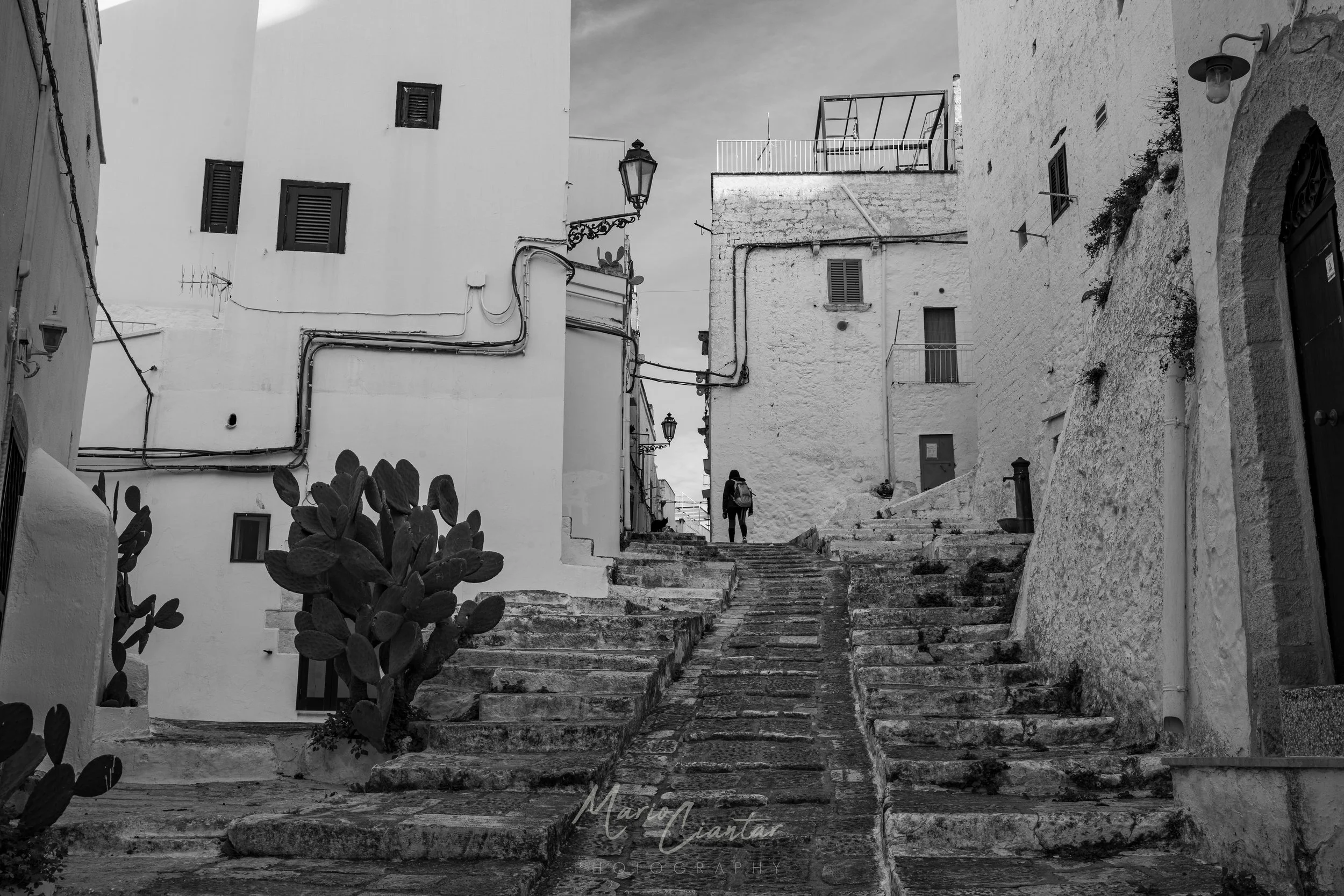 OSTUNI & CISTERNINO.jpg