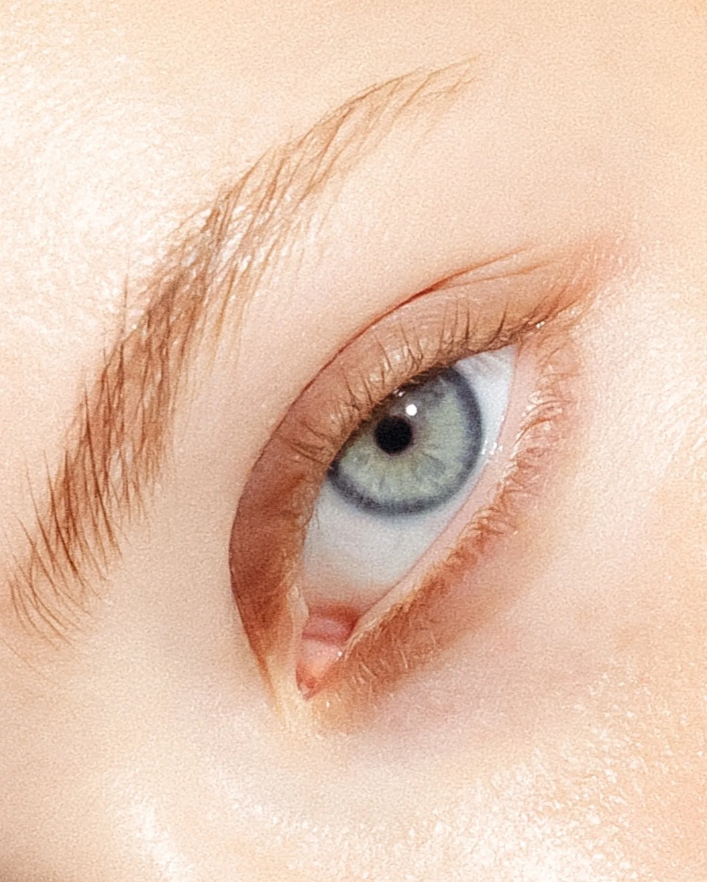 Closeup
Shot by @delangecharlotte 
@kinselstudio 
@chiara_janssen