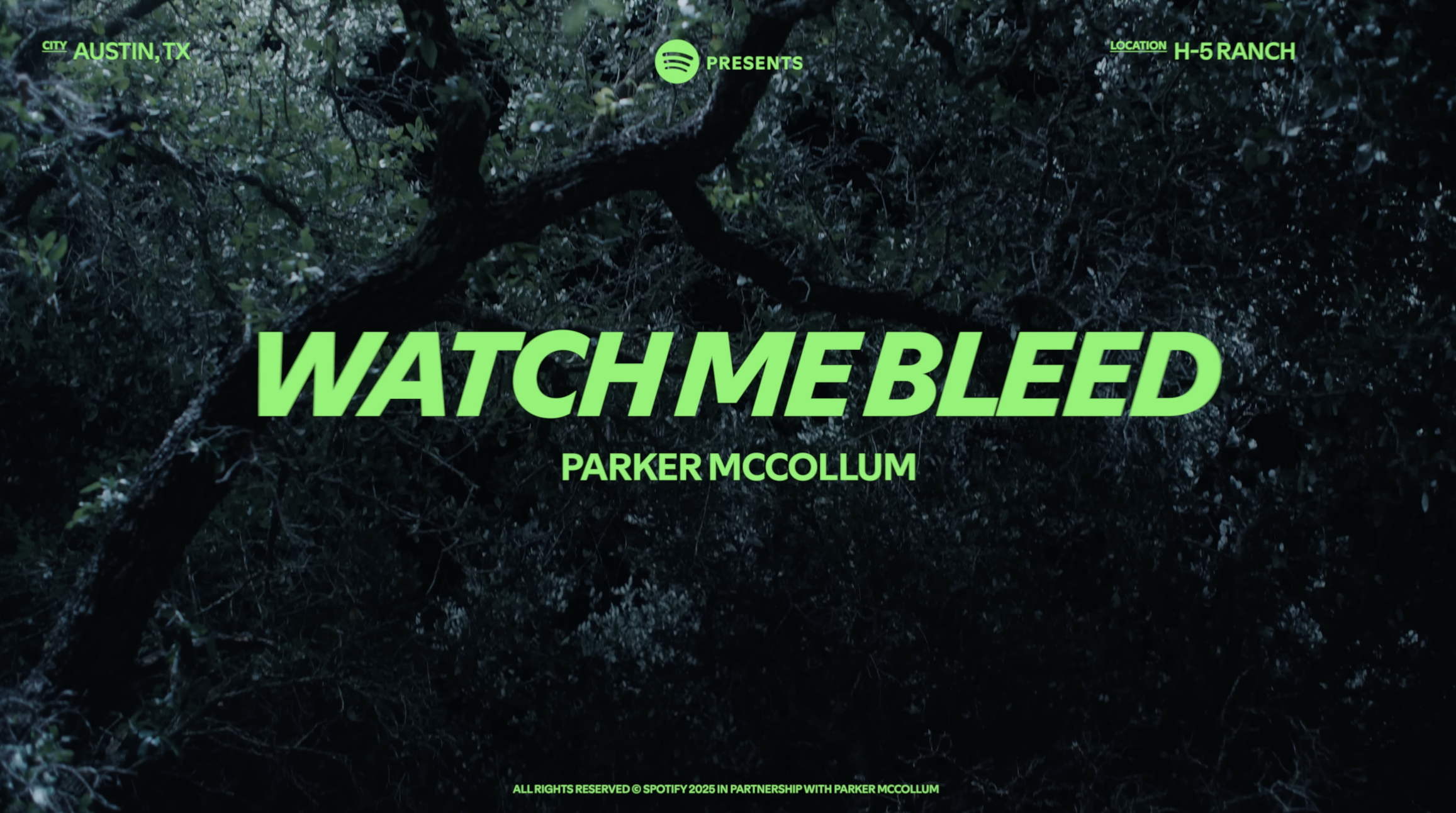 PARKER MCCOLLUM - MUSIC VISUAL - ART DEPARTMENT