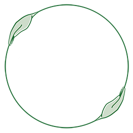 The Osteopathy Studio