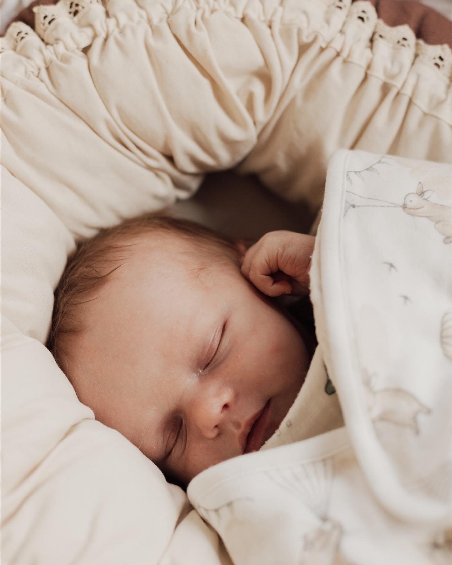 Fick f&ouml;reviga den h&auml;r s&ouml;tnosen som f&ouml;rtrollat b&aring;de f&ouml;r&auml;ldrar och undertecknad. Grattis till er fina familj Julia, Mattias &amp; Arvid 💕 Livets magi🥹