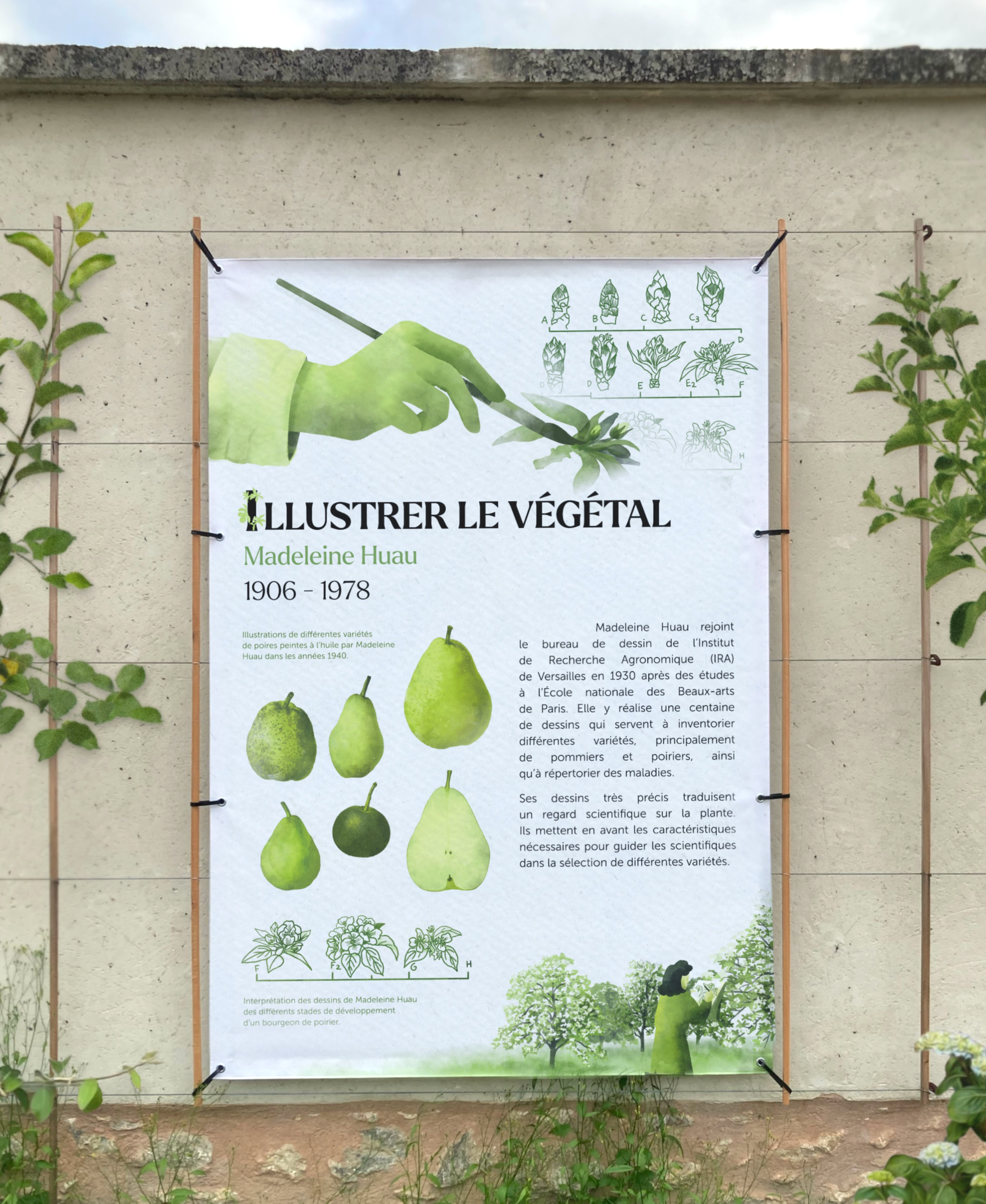 affiche_madeleine_huau.png