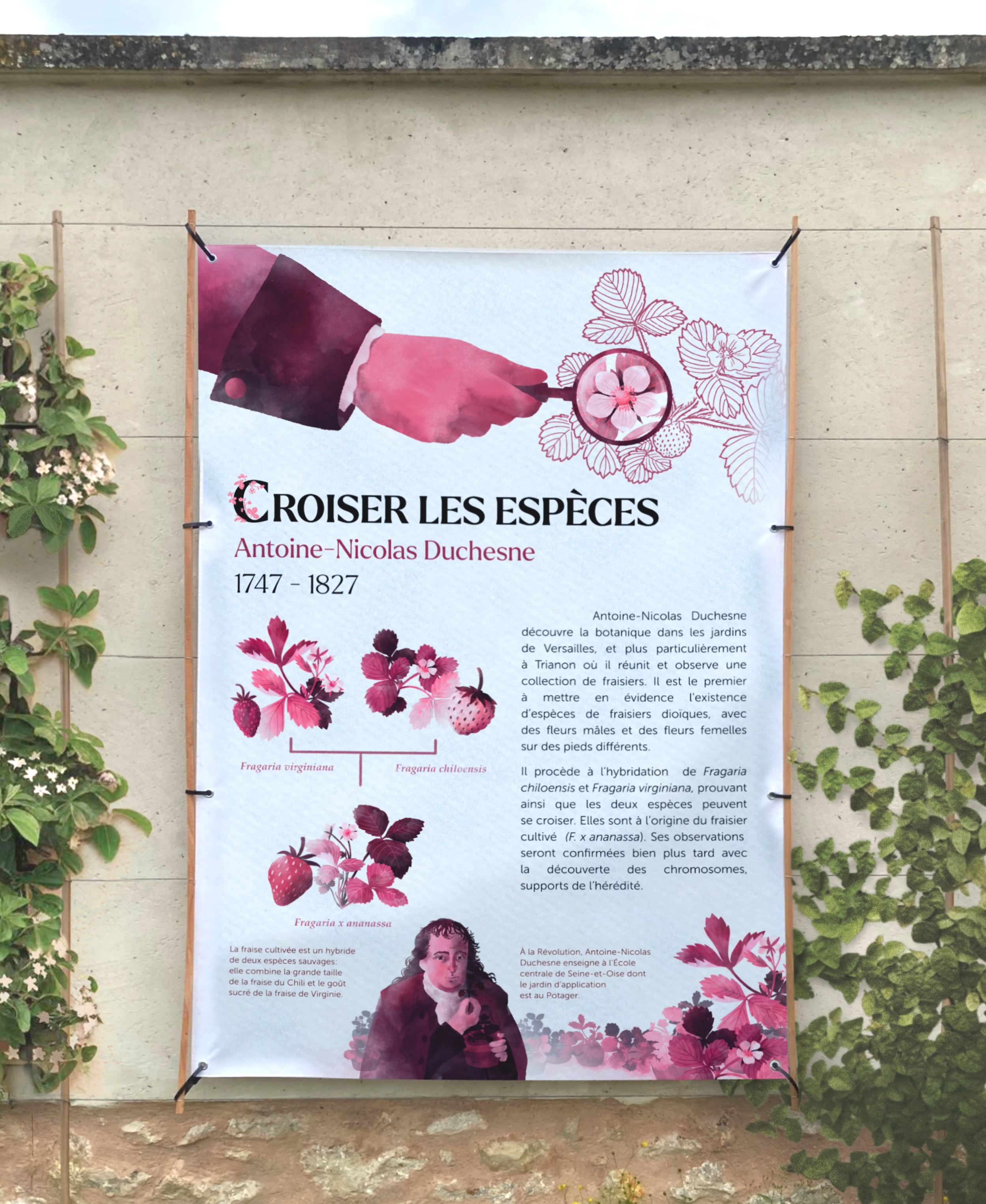affiche_duchesne.png