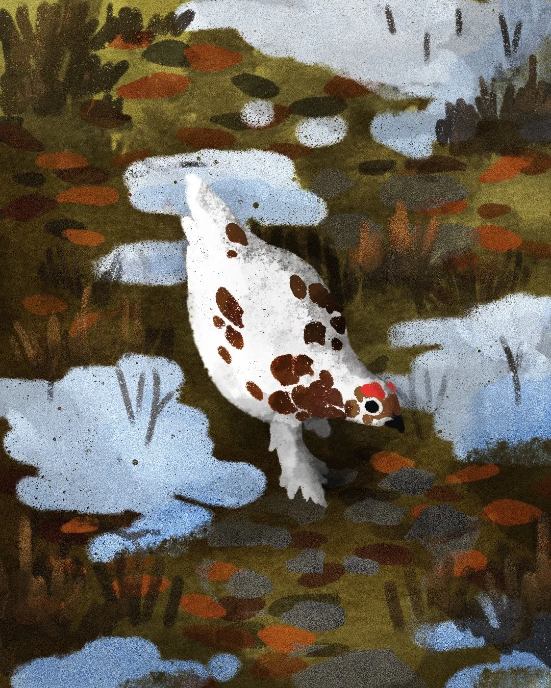 Ptarmigan2.jpg