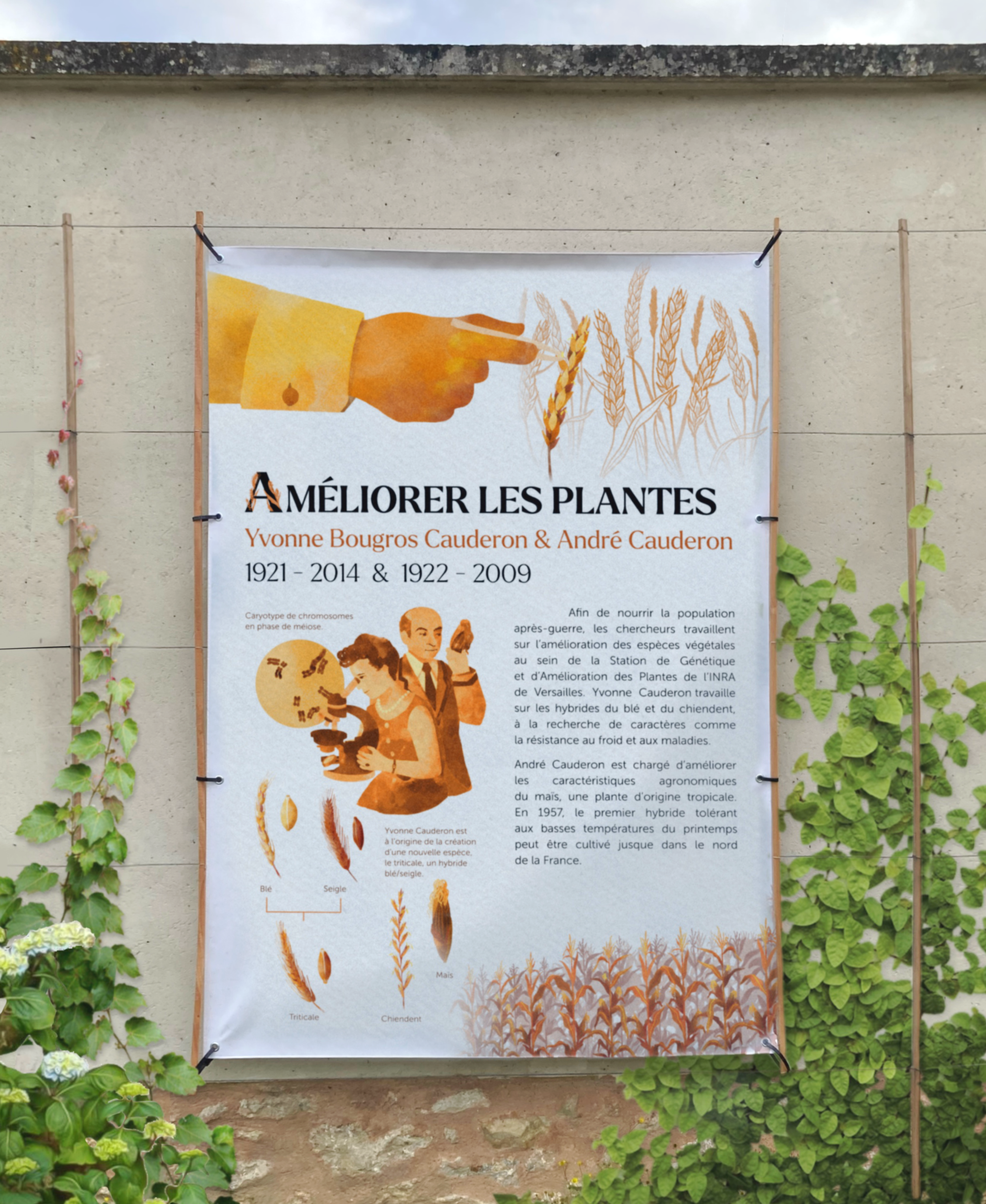 affiche_cauderon.png