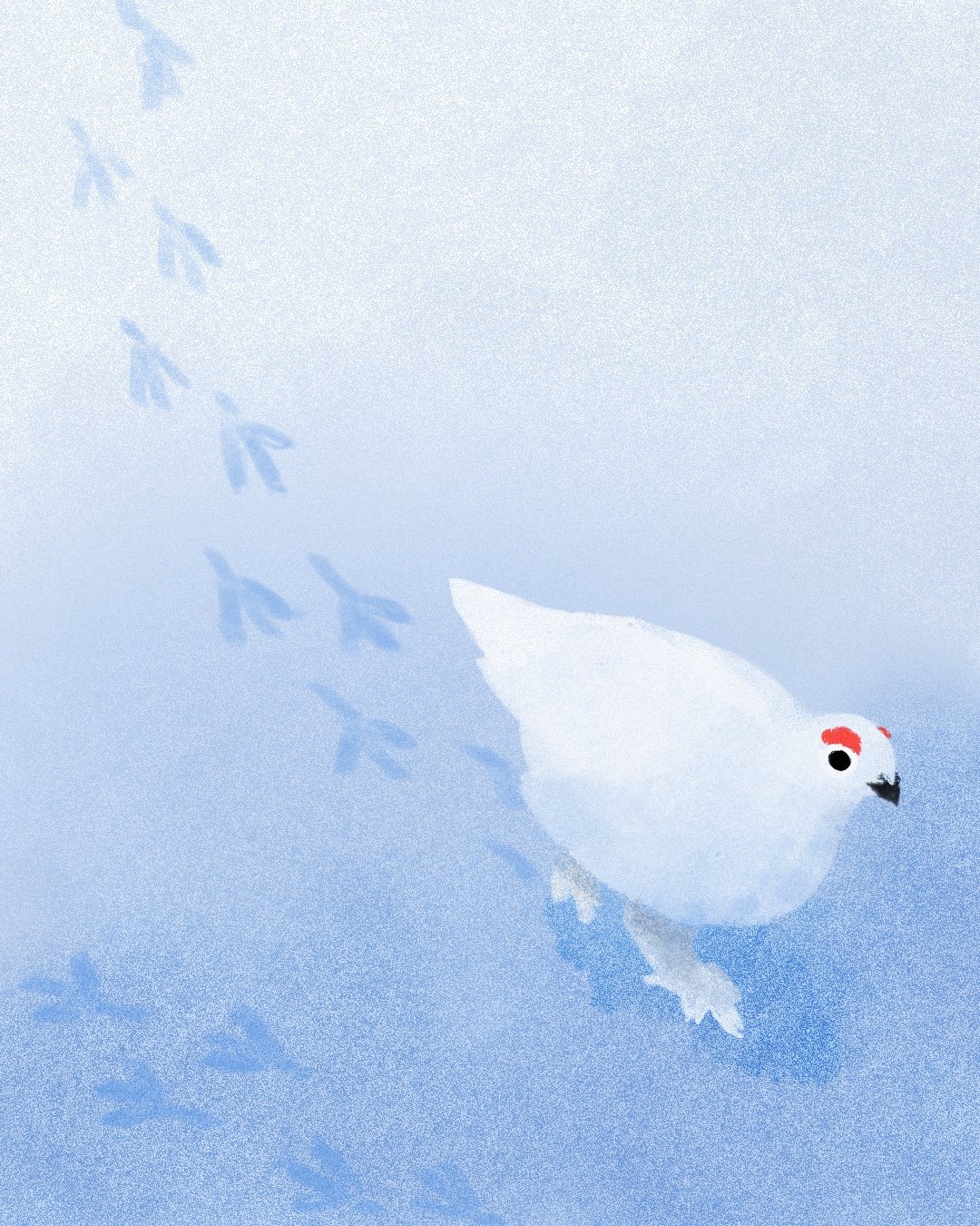 Ptarmigan3.jpg