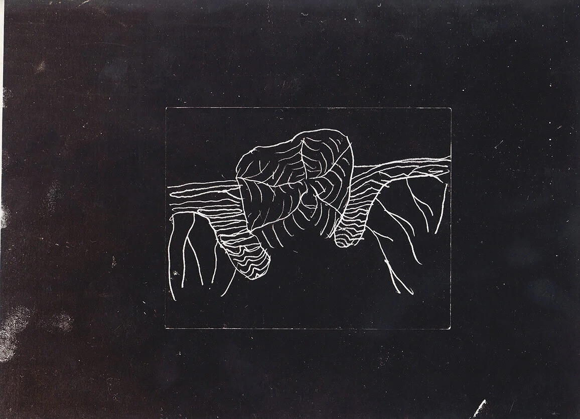 G*PARK SEISMOGRAMM Cover, Reproprint  1990