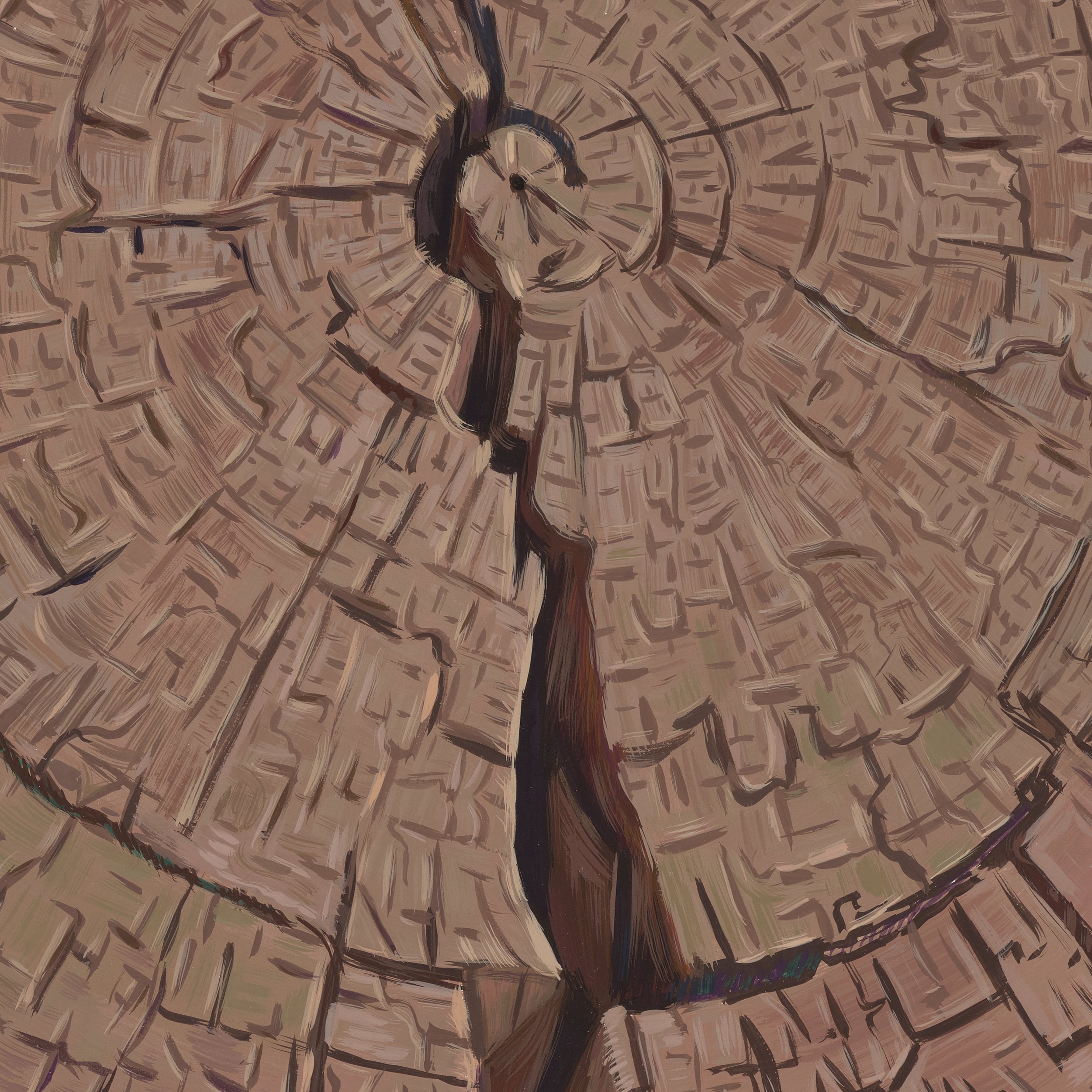 Detail,  O’Keeffe’s Stump  