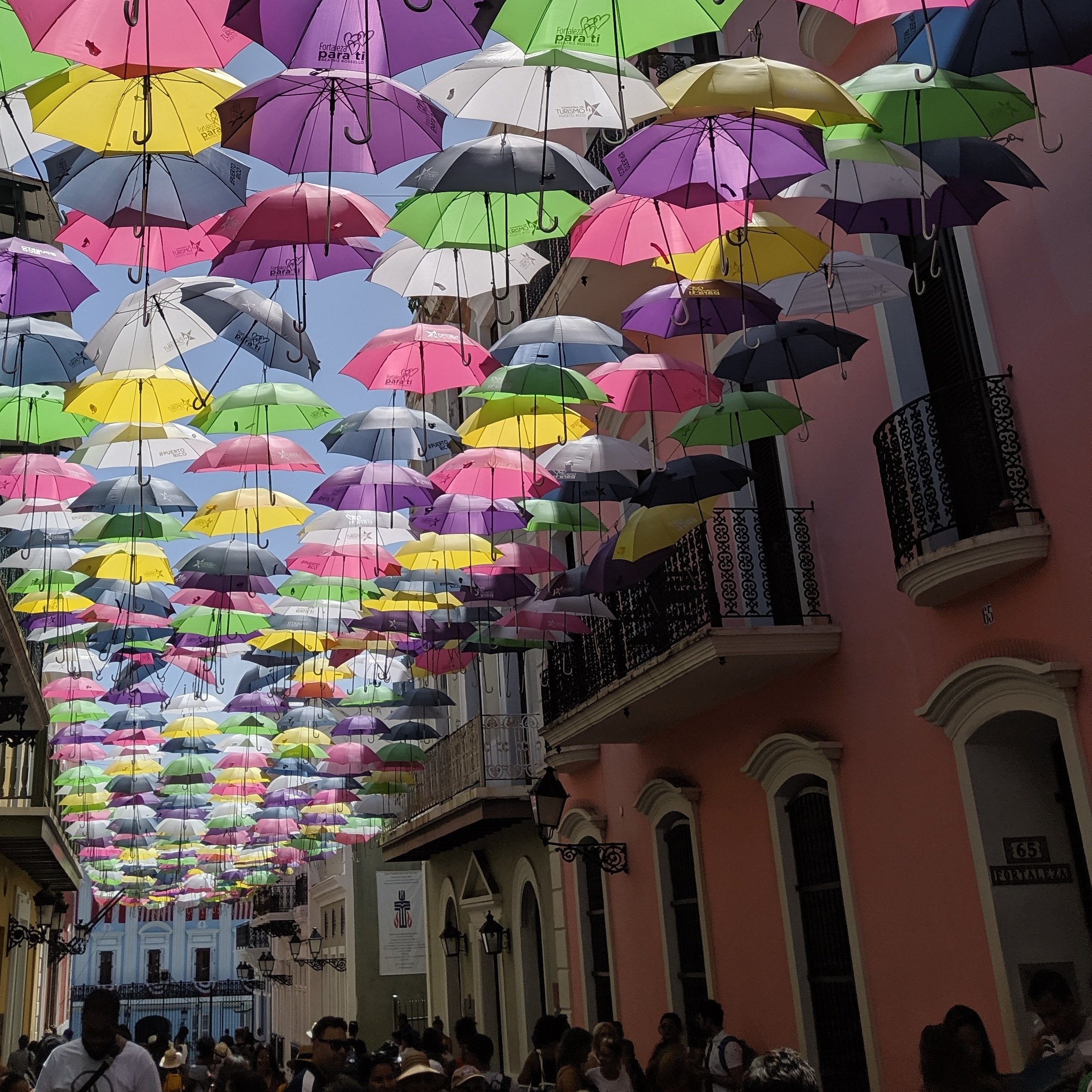unsplash-image-ug-sFqNqRVw.jpg