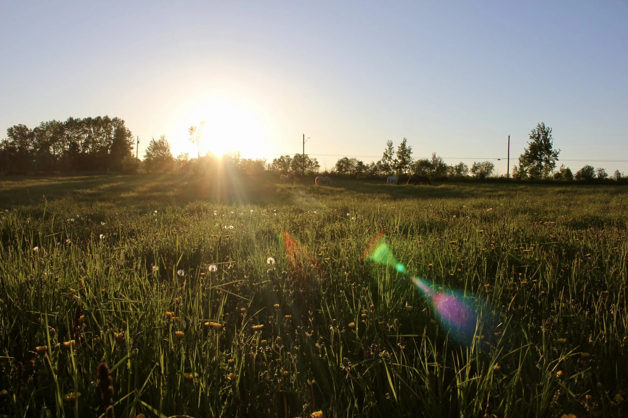 Tetagouche River Ranch