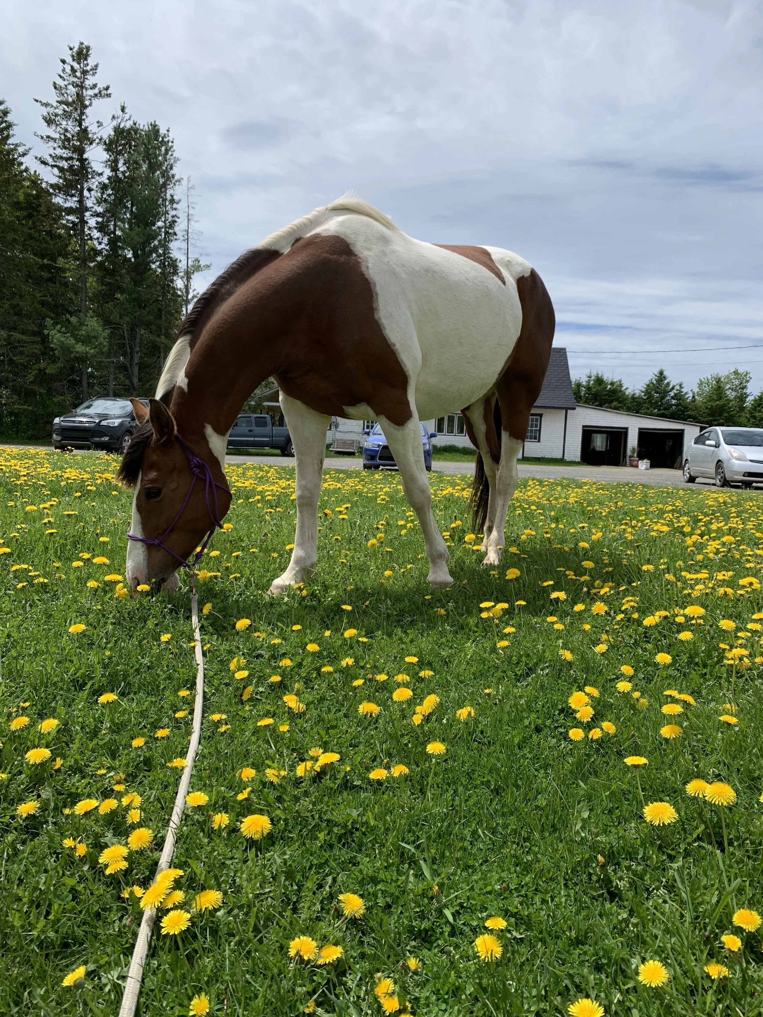The Ranch — Tetagouche River Ranch